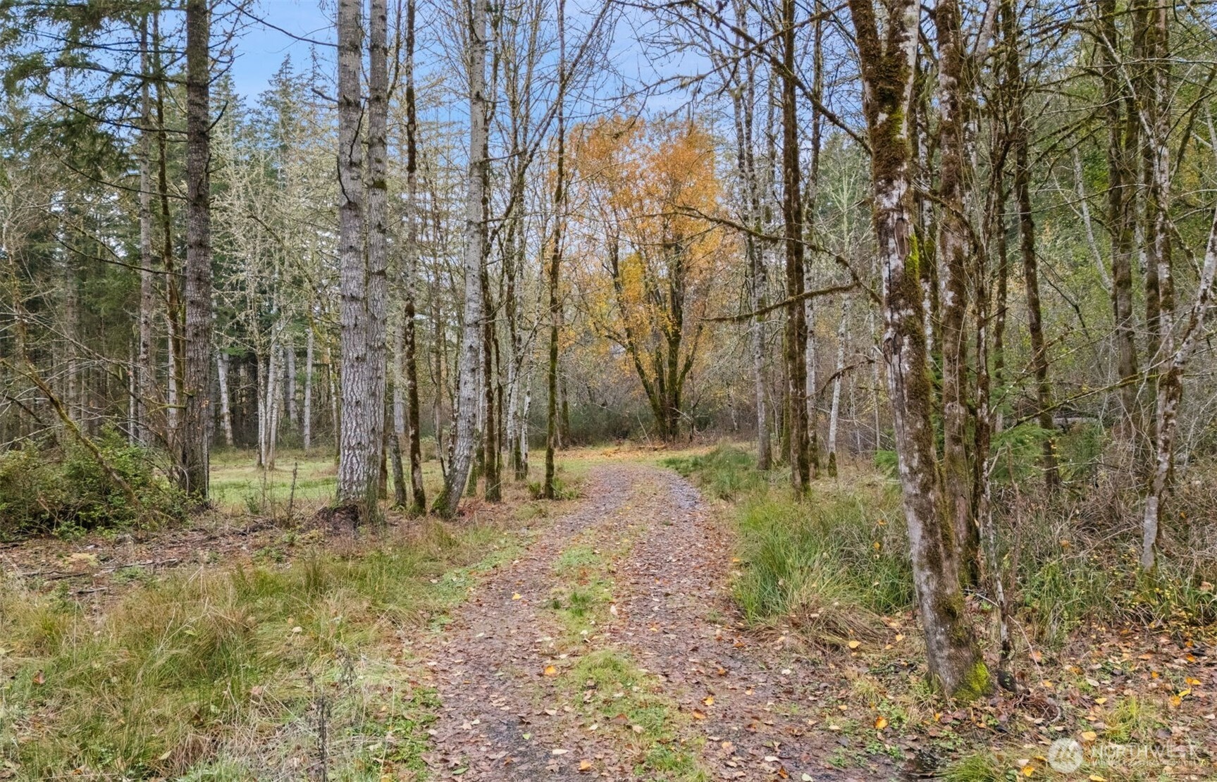 6191 East Pickering Road Shelton, WA 98584 - Photo 2 of 16 a view of outdoor space and trees