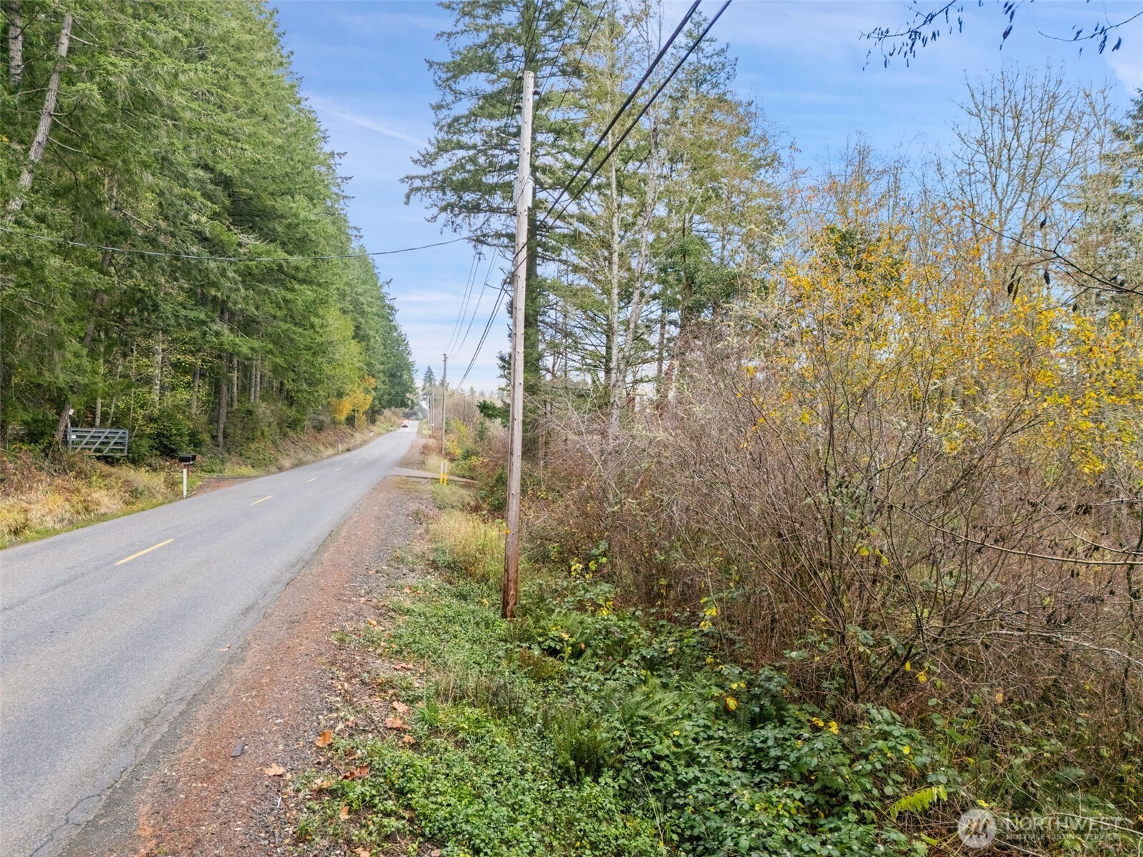 6191 East Pickering Road Shelton, WA 98584 - Photo 6 of 16 a view of a yard with plants and a bench