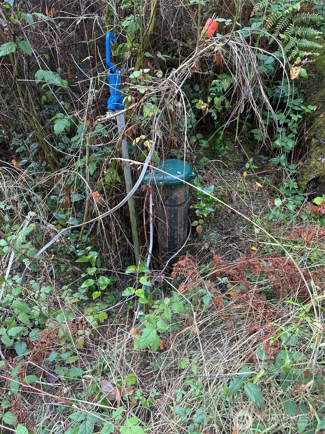 6191 East Pickering Road Shelton, WA 98584 - Photo 7 of 16 a backyard of a house with lots of green space and a lake view