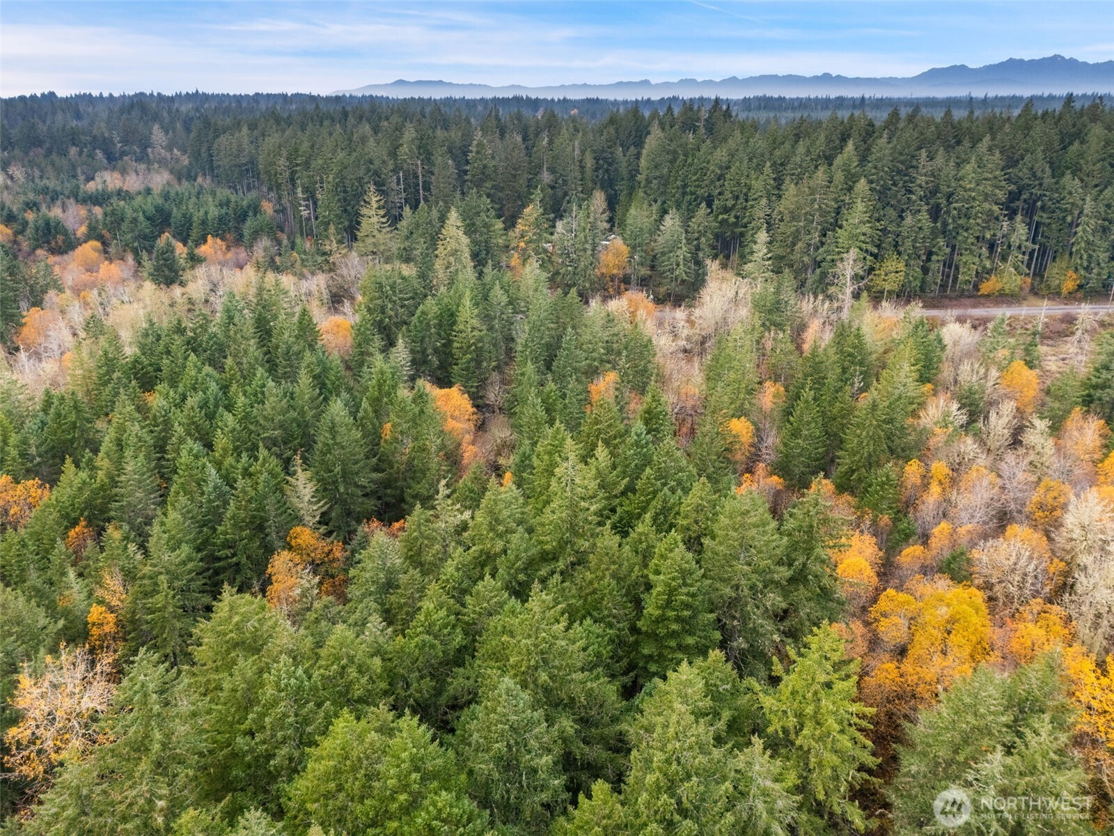 6191 East Pickering Road Shelton, WA 98584 - Photo 8 of 16 a view of a lake with a mountain in the background