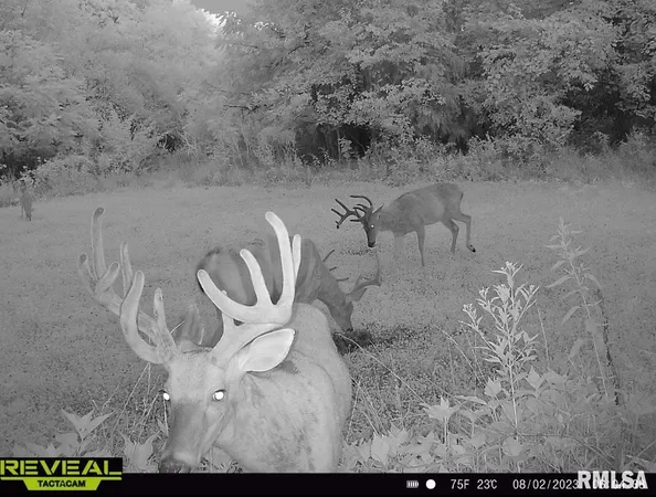 $407,900 | 0 County 7 Highway, Cisne, IL 62823