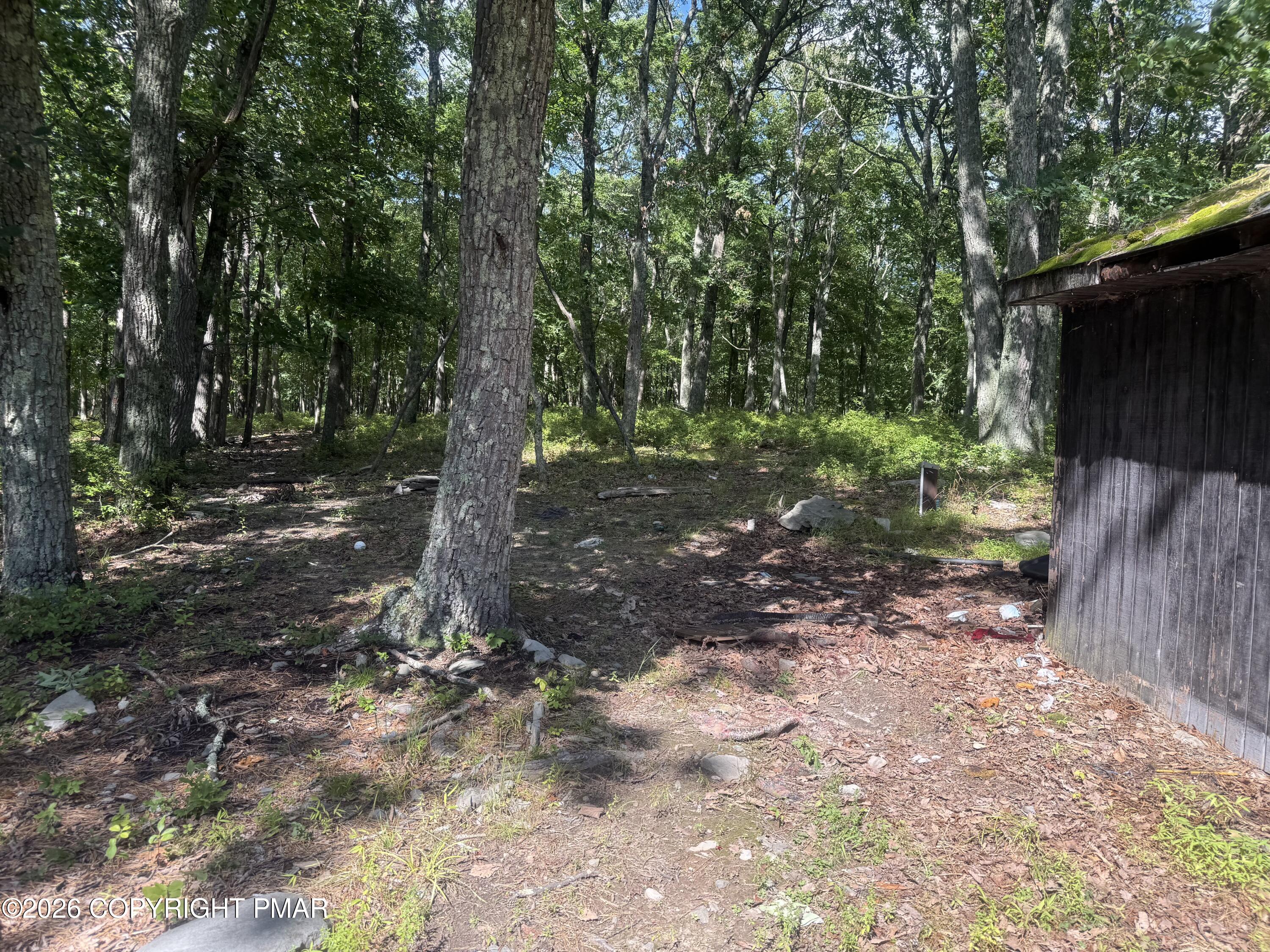 2186 Spring Drive Bushkill, PA 18324 - Photo 29 of 39 IMG_1380.HEIC