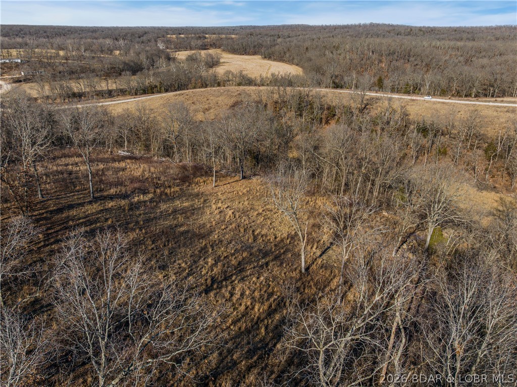 Tract A Tract A Camden Line Road Lebanon, MO 65536 - Photo 4 of 18