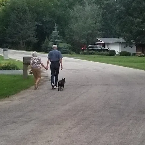 $3,750 | 2185 Gainsboro Avenue, Davis, IL 61019