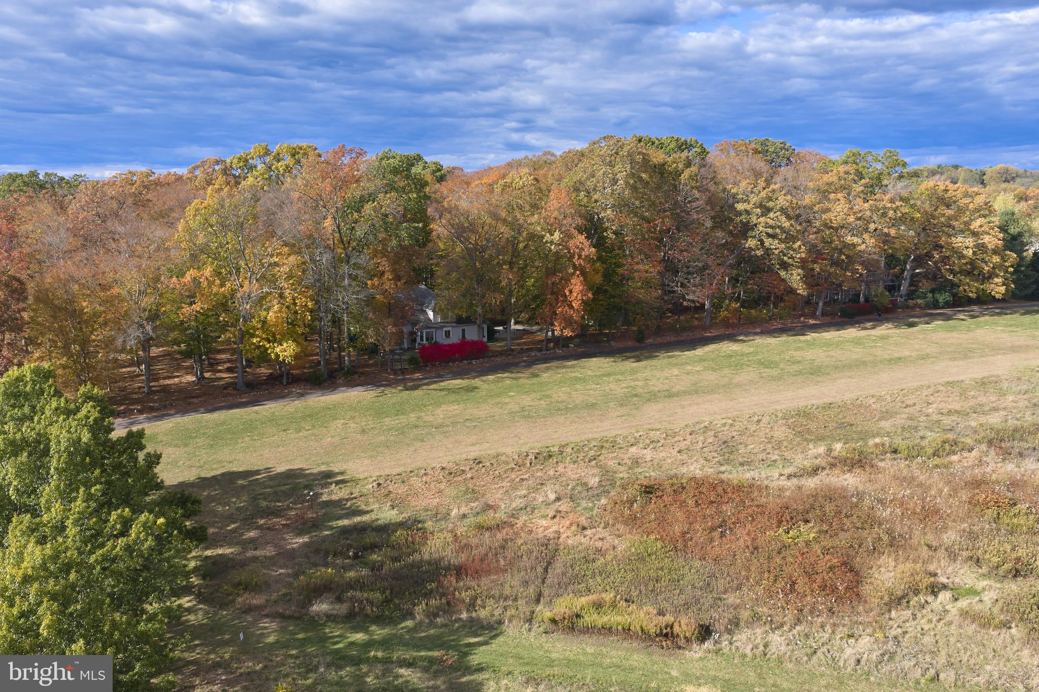 137 Wells Road Doylestown, PA 18901 - Photo 52 of 54 a view of yard with mountain