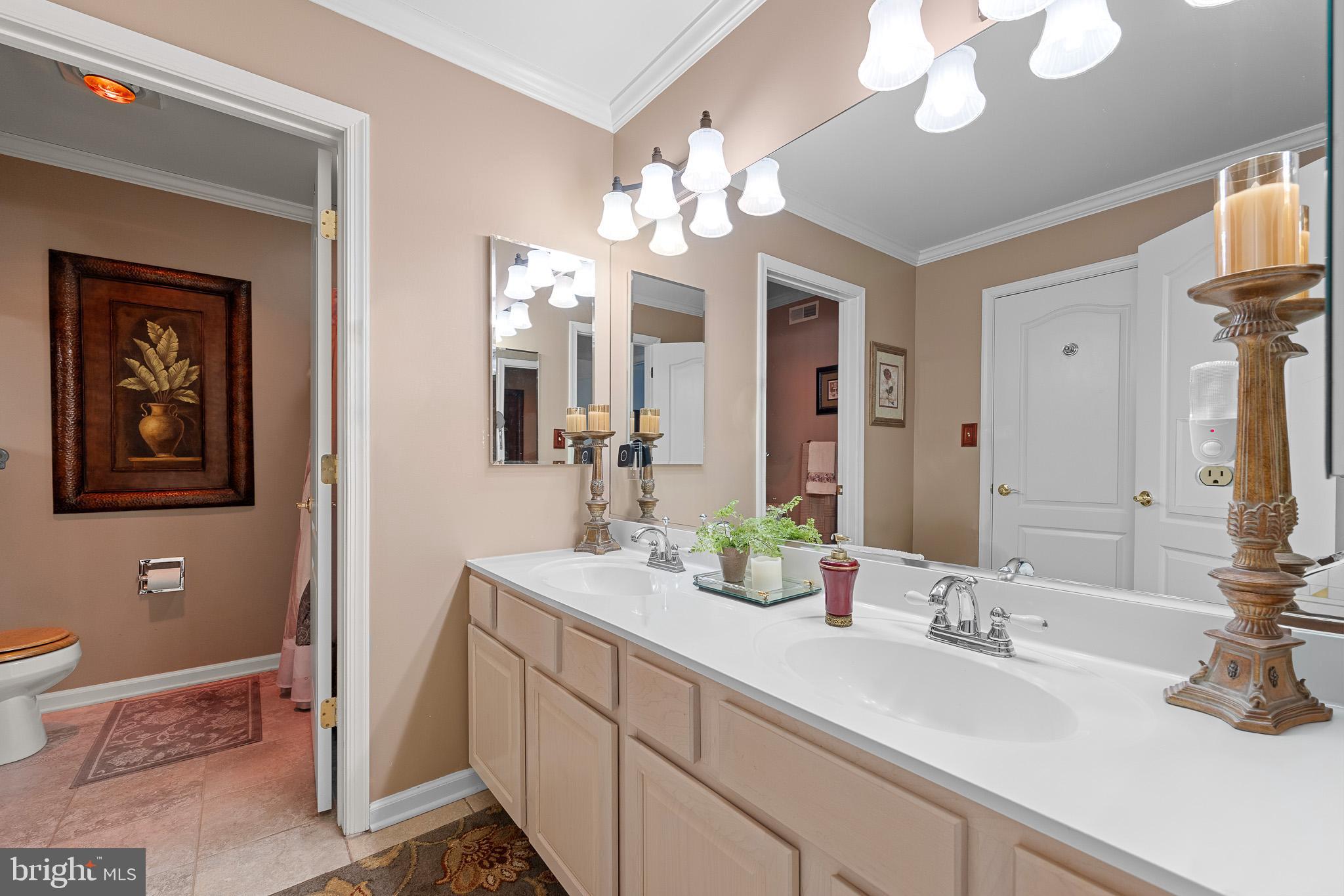 137 Wells Road Doylestown, PA 18901 - Photo 59 of 102 a bathroom with a sink a toilet and a mirror