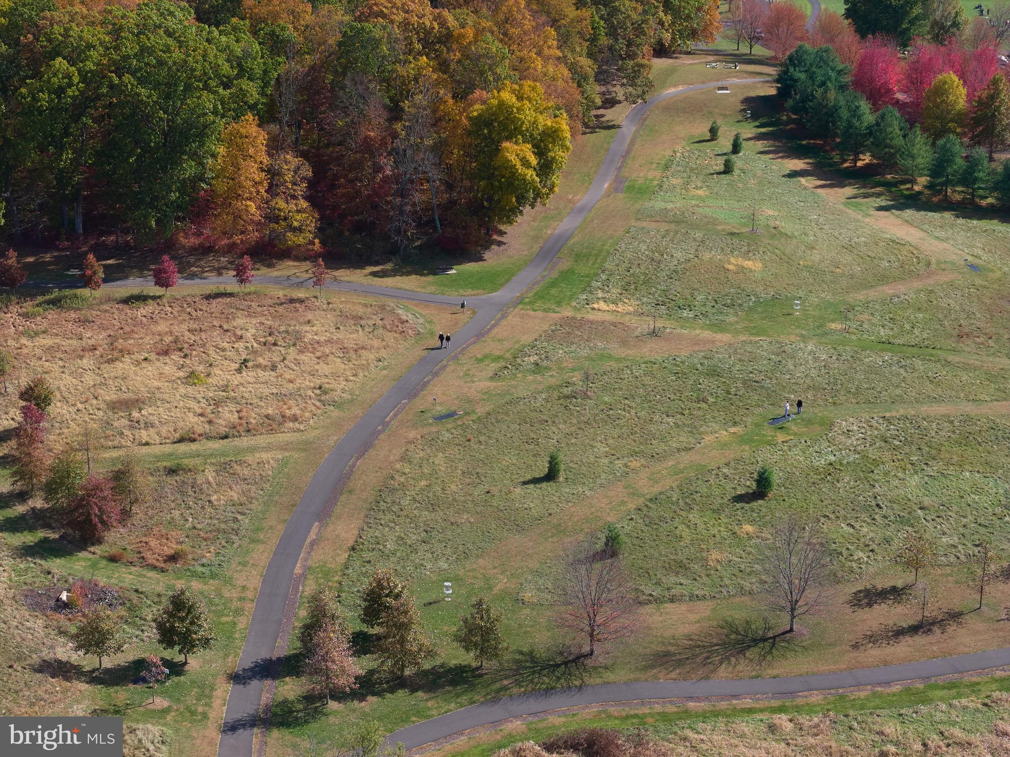 137 Wells Road Doylestown, PA 18901 - Photo 97 of 102 a view of a yard with plants