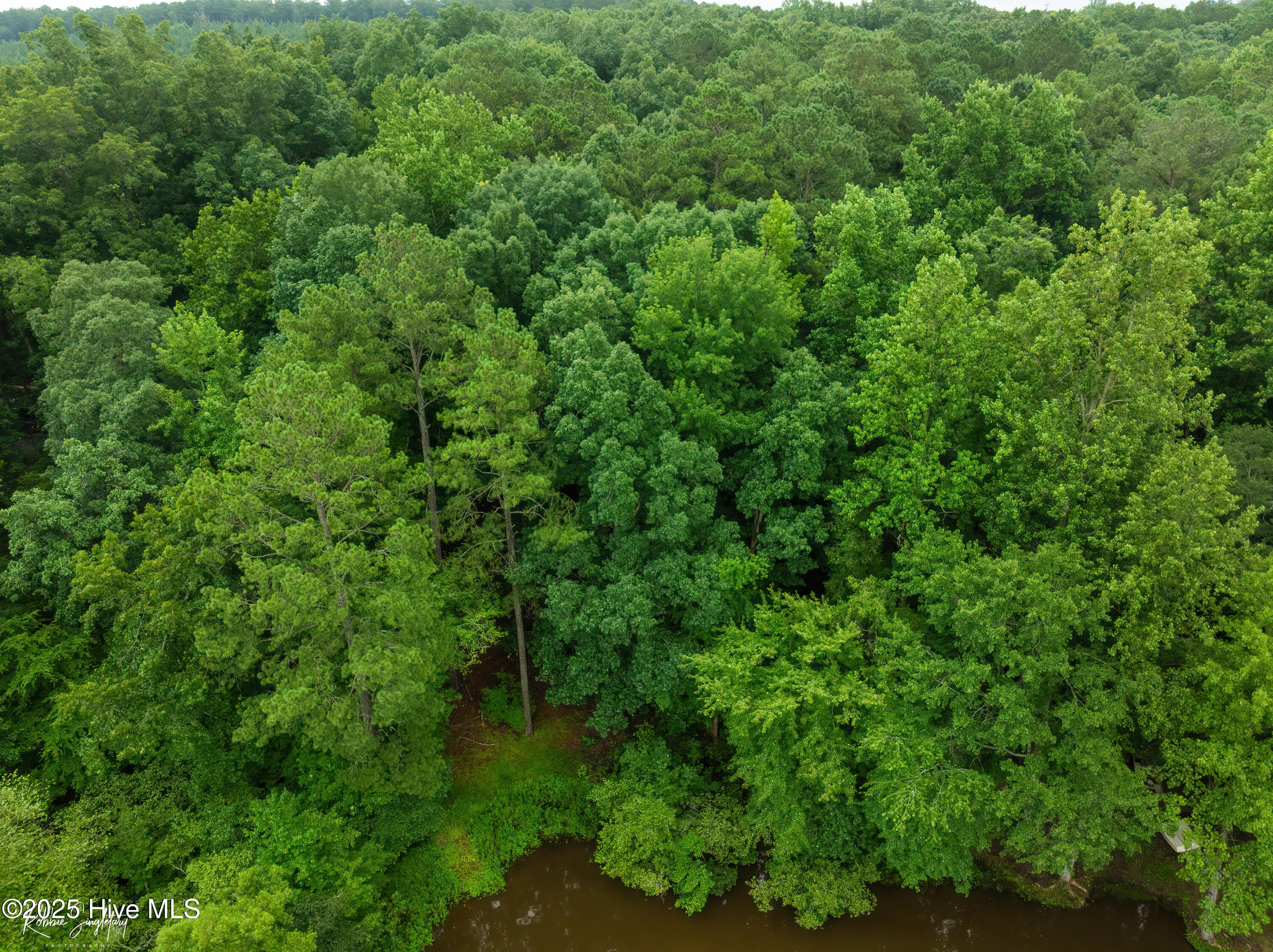 299 Rankin Lake Road Ellerbe, NC 28338 - Photo 54 of 61 RS 1 DJI_0547