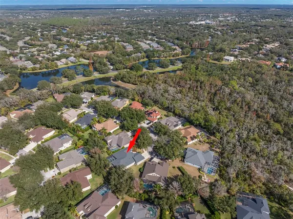 $725,000 | 15321 Vireoglen Lane, Lithia, FL 33547