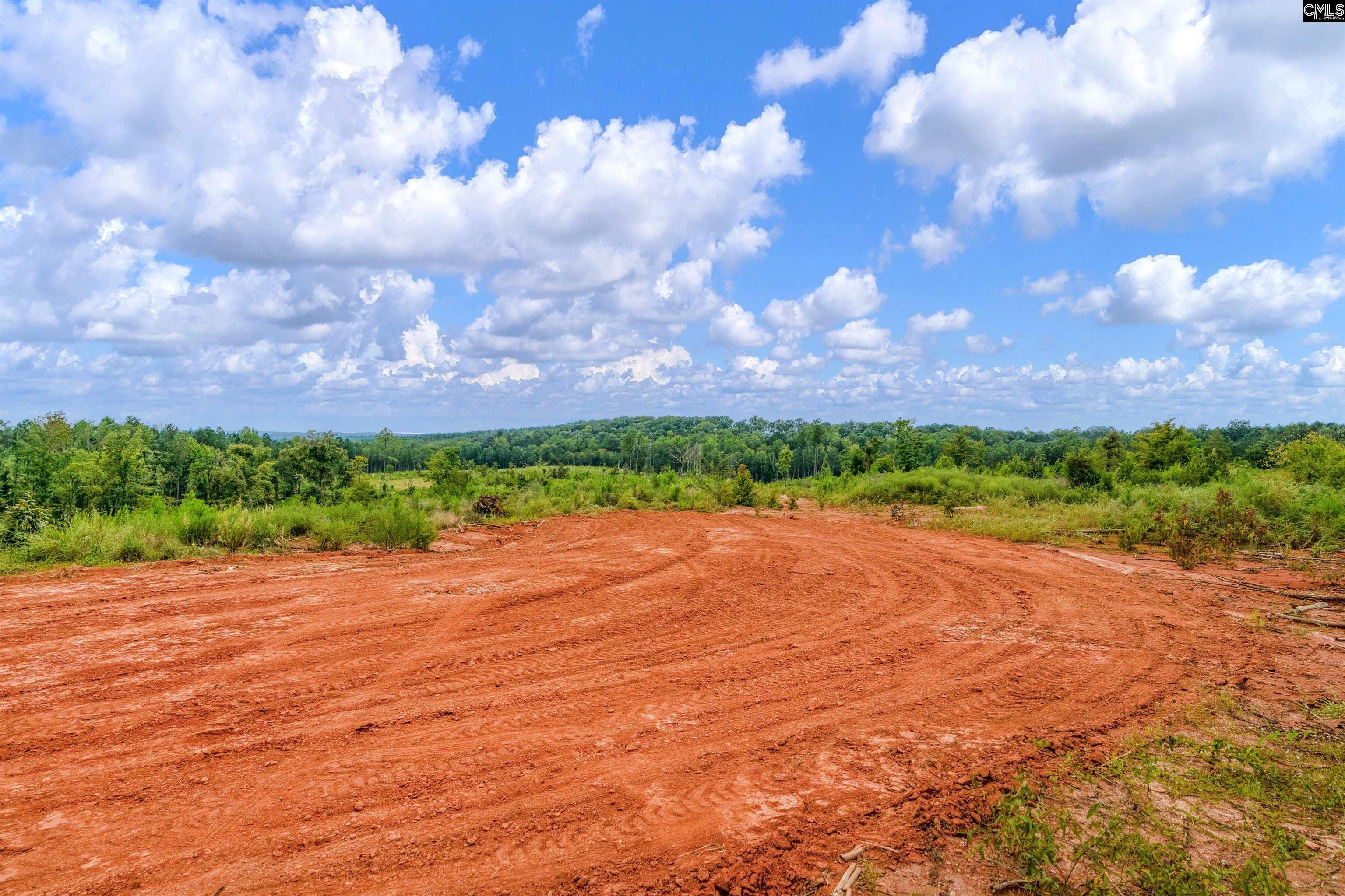 0 Penner Road, Unit 7 Jenkinsville, SC 29065 - Photo 26 of 36