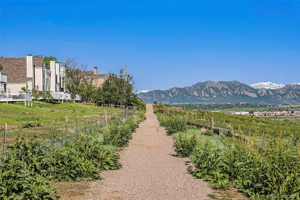 a view of a lake with a yard