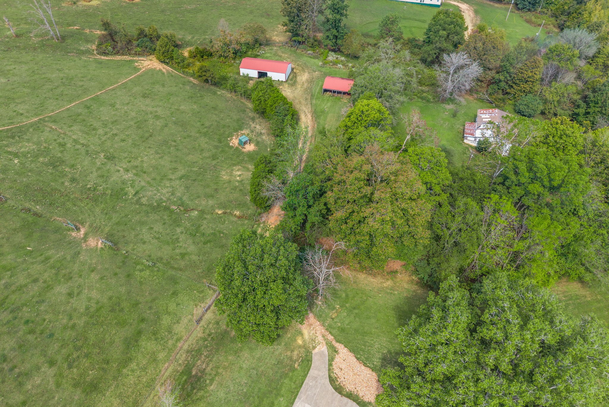 3989 Cadiz Road Bumpus Mills, TN 37028 - Photo 71 of 97 a view of a small yard