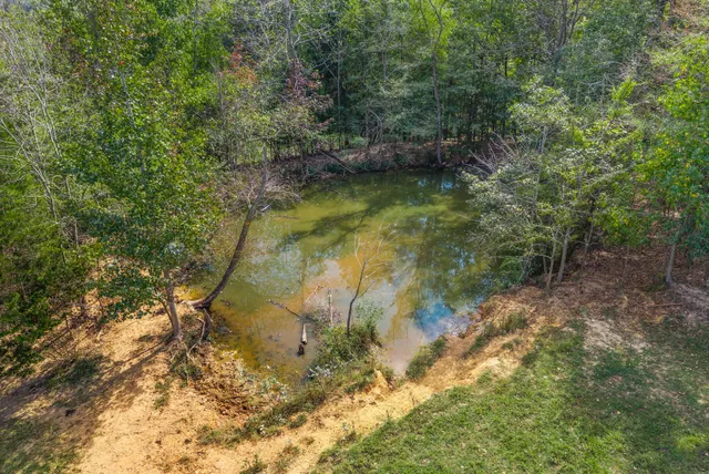 $1,200,000 | 3989 Cadiz Road, Bumpus Mills, TN 37028