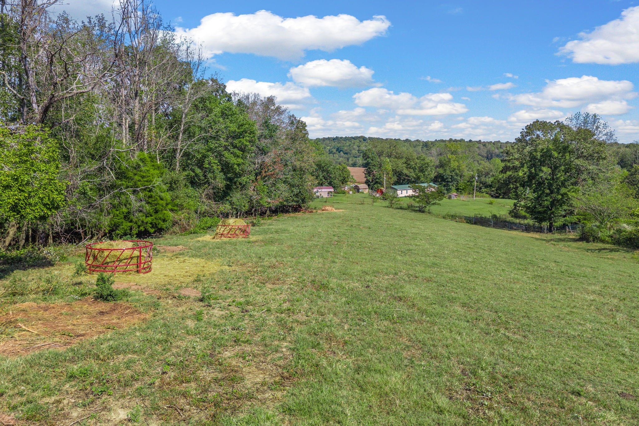 3989 Cadiz Road Bumpus Mills, TN 37028 - Photo 86 of 97 a view of a garden with an trees