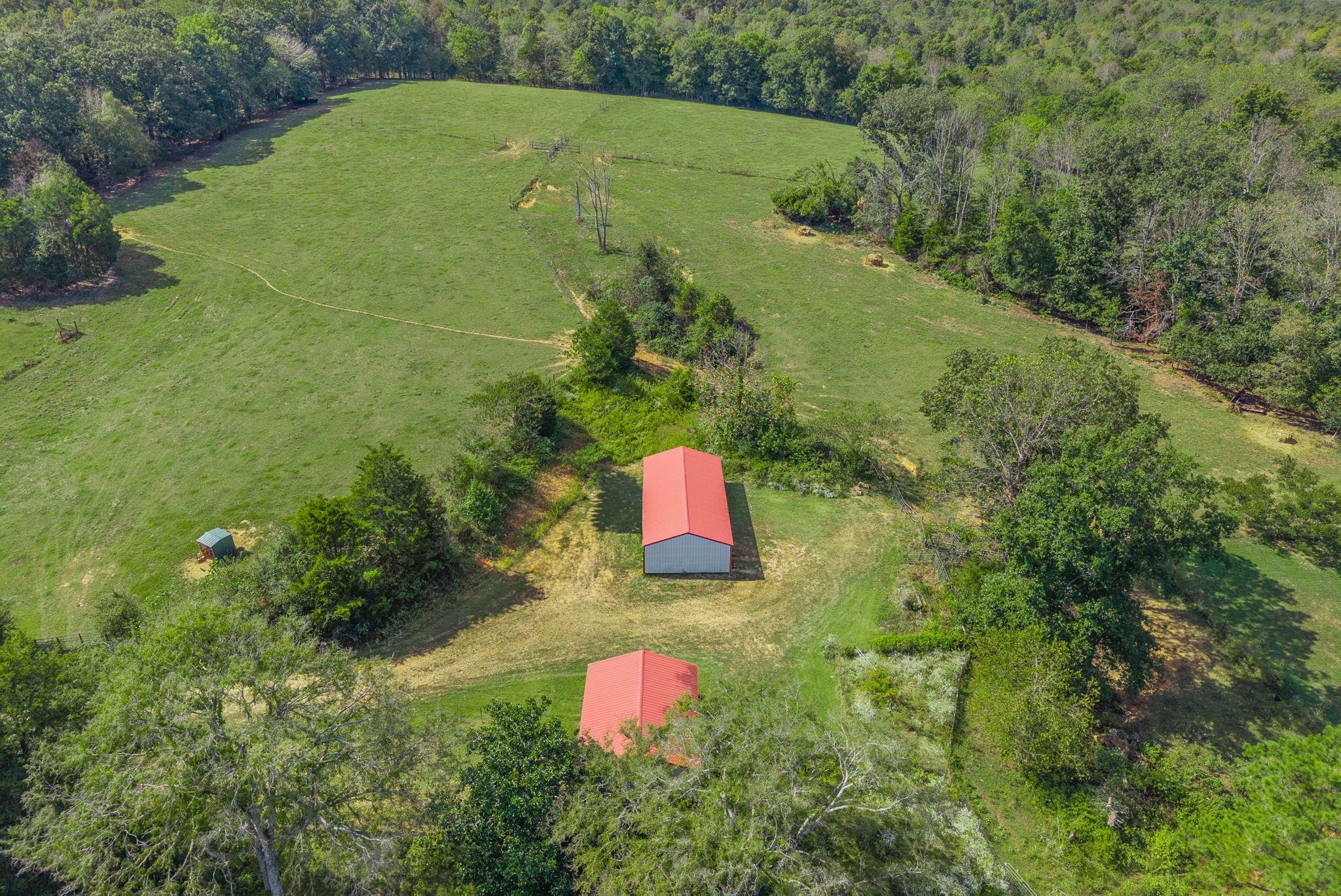 3989 Cadiz Road Bumpus Mills, TN 37028 - Photo 88 of 97 a view of a yard and front yard