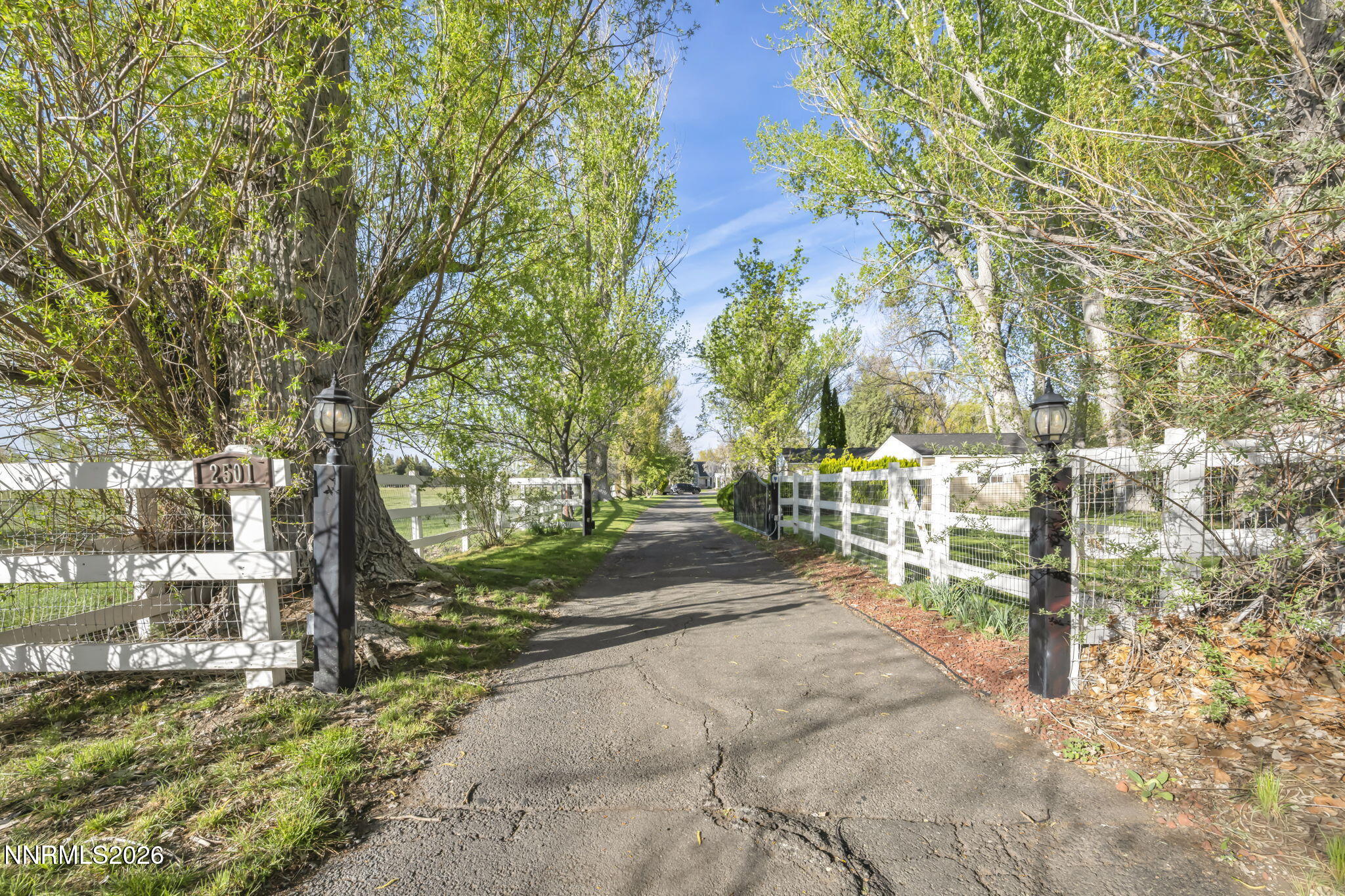 2501 Holcomb Ranch Lane Reno, NV 89511 - Photo 31 of 94 a view of a yard with plants and trees