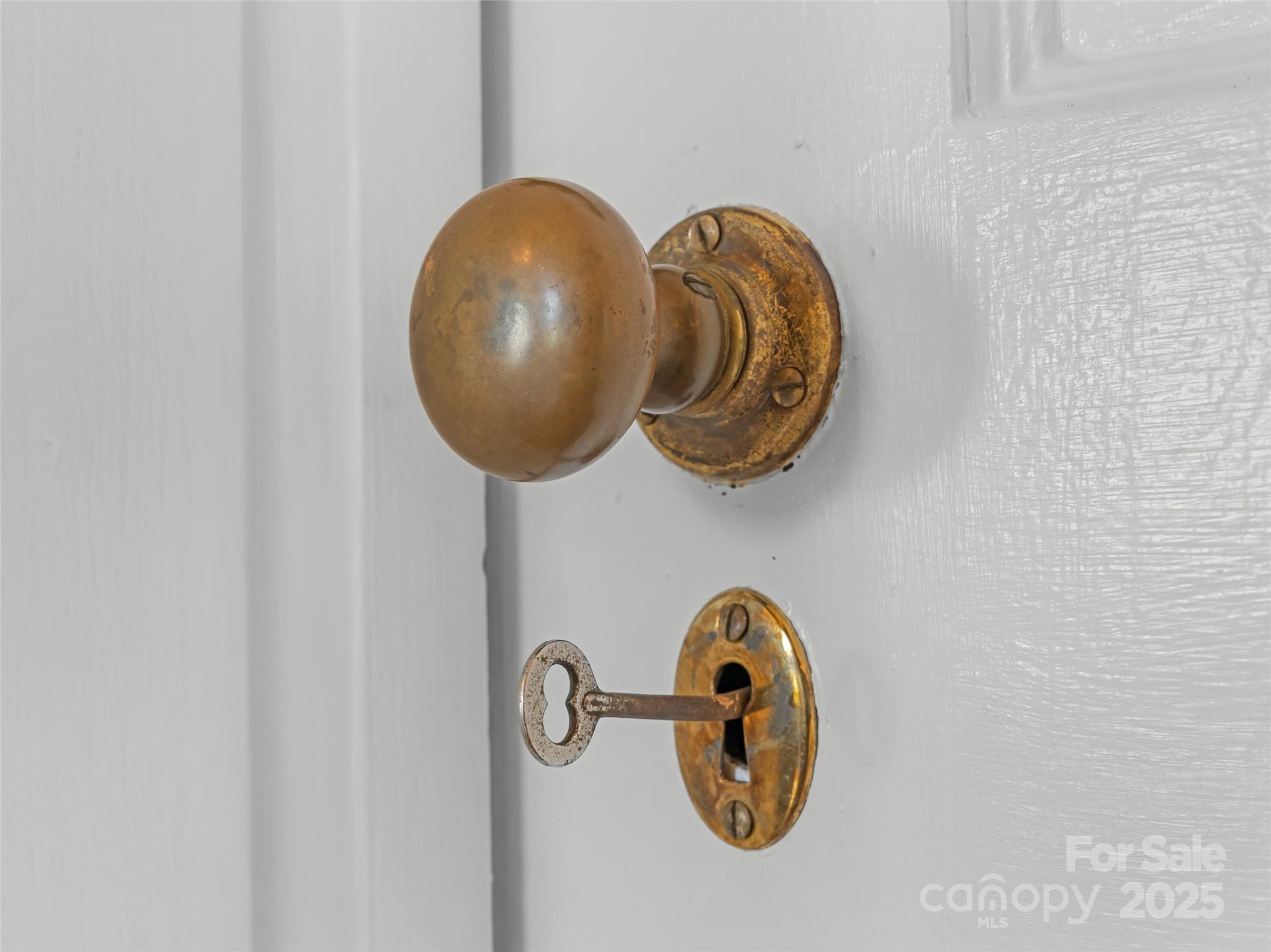 505 North Country Club Road Brevard, NC 28712 - Photo 9 of 48