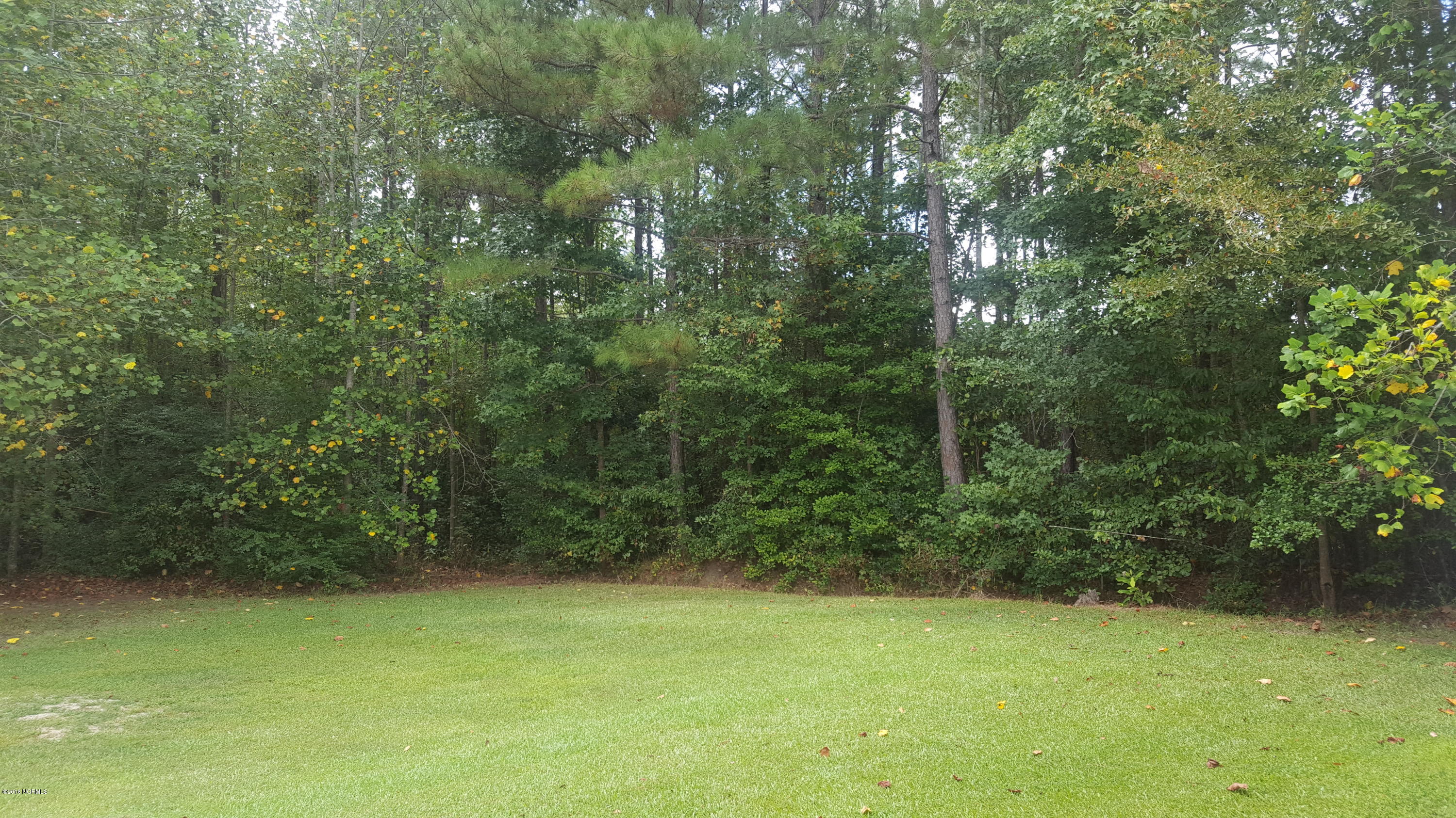 5063 Blueberry Road Currie, NC 28435 - Photo 11 of 11 5063 Blueberry Road Yard