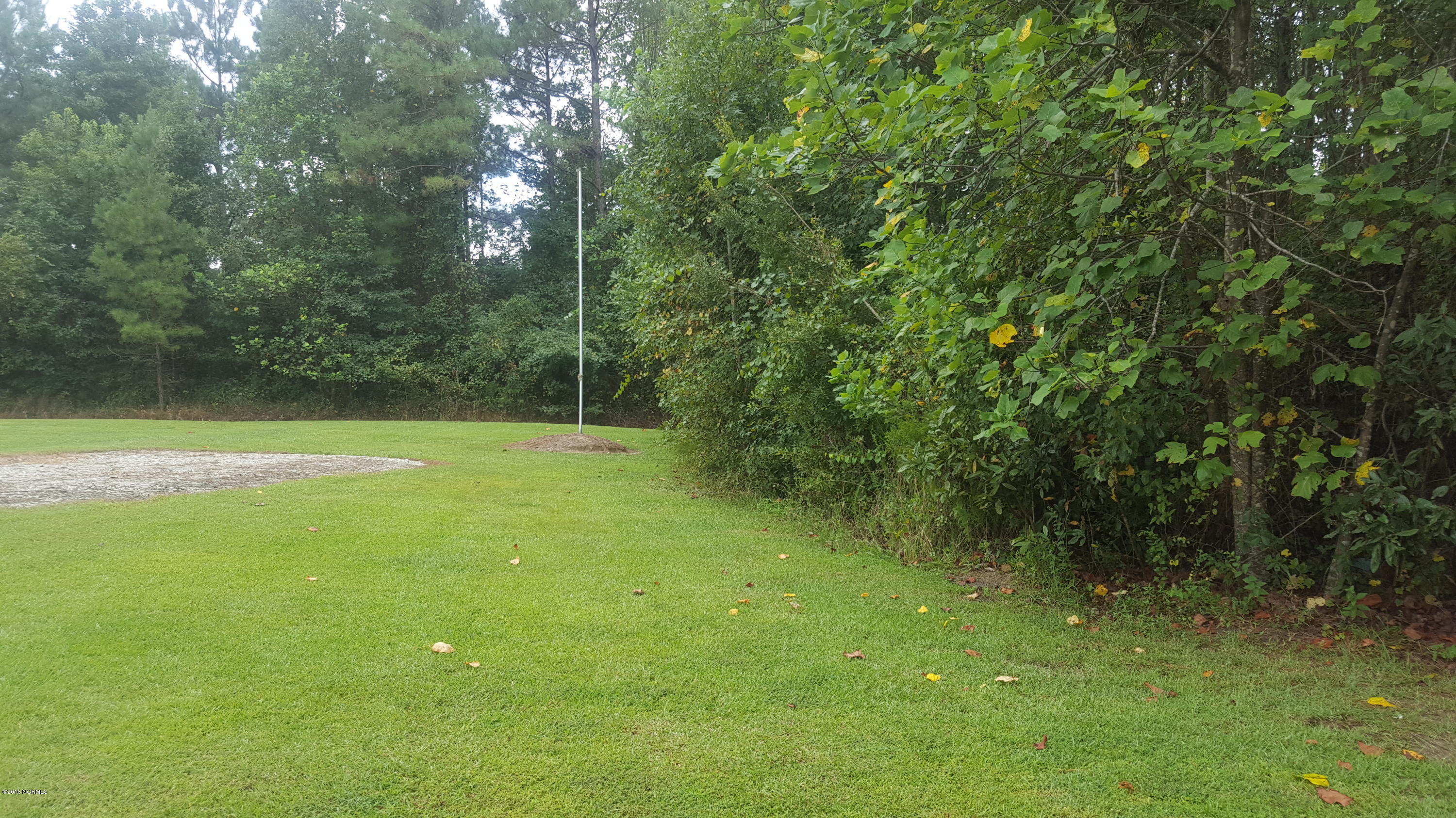 5063 Blueberry Road Currie, NC 28435 - Photo 10 of 11 5063 Blueberry Road Yard 2