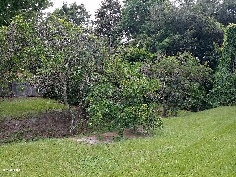 5050 Bridge Road Cocoa, FL 32927 - Photo 6 of 15 back yard