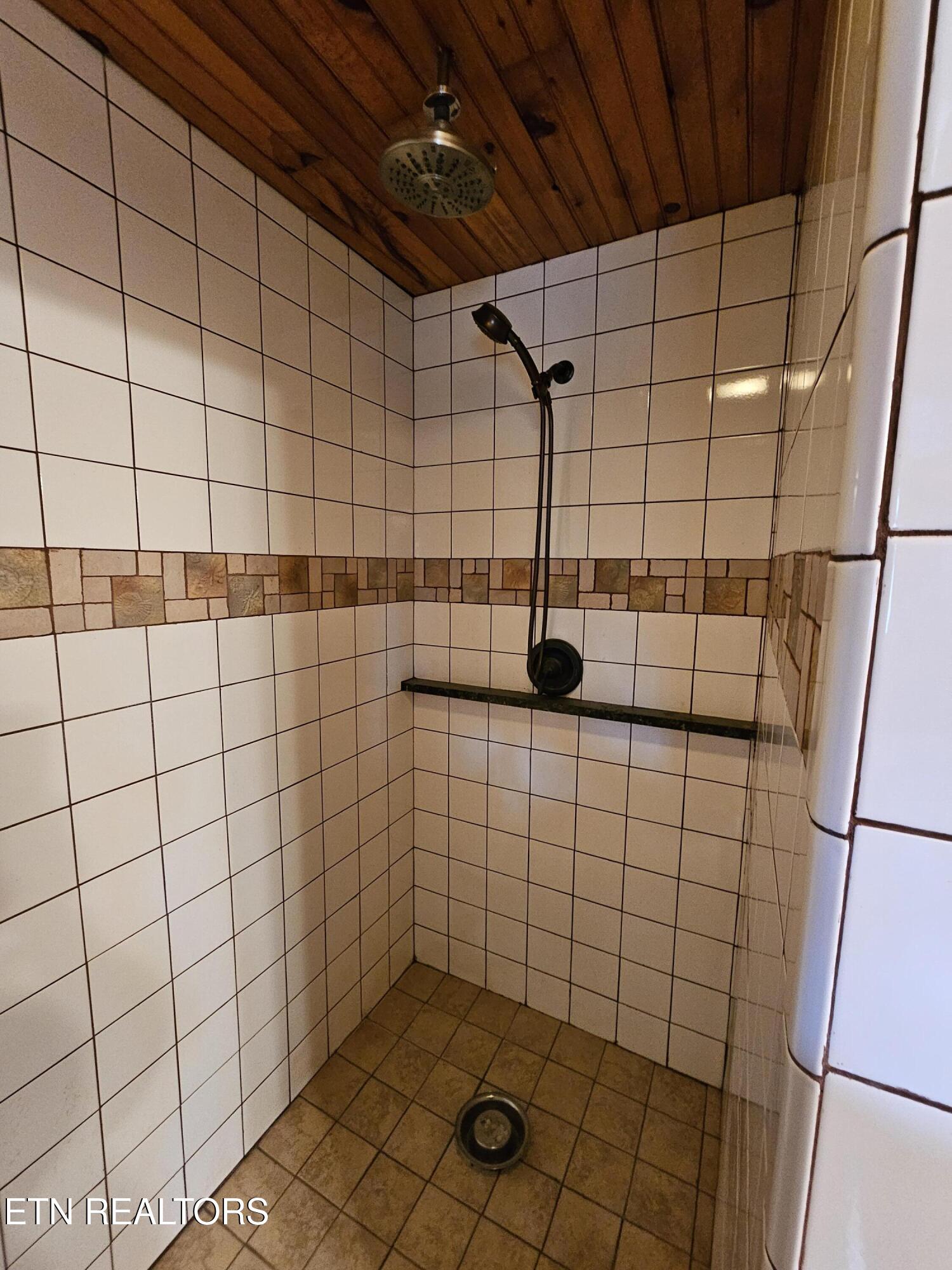 117 Coyote Lane Oneida, TN 37841 - Photo 23 of 60 Primary Bath