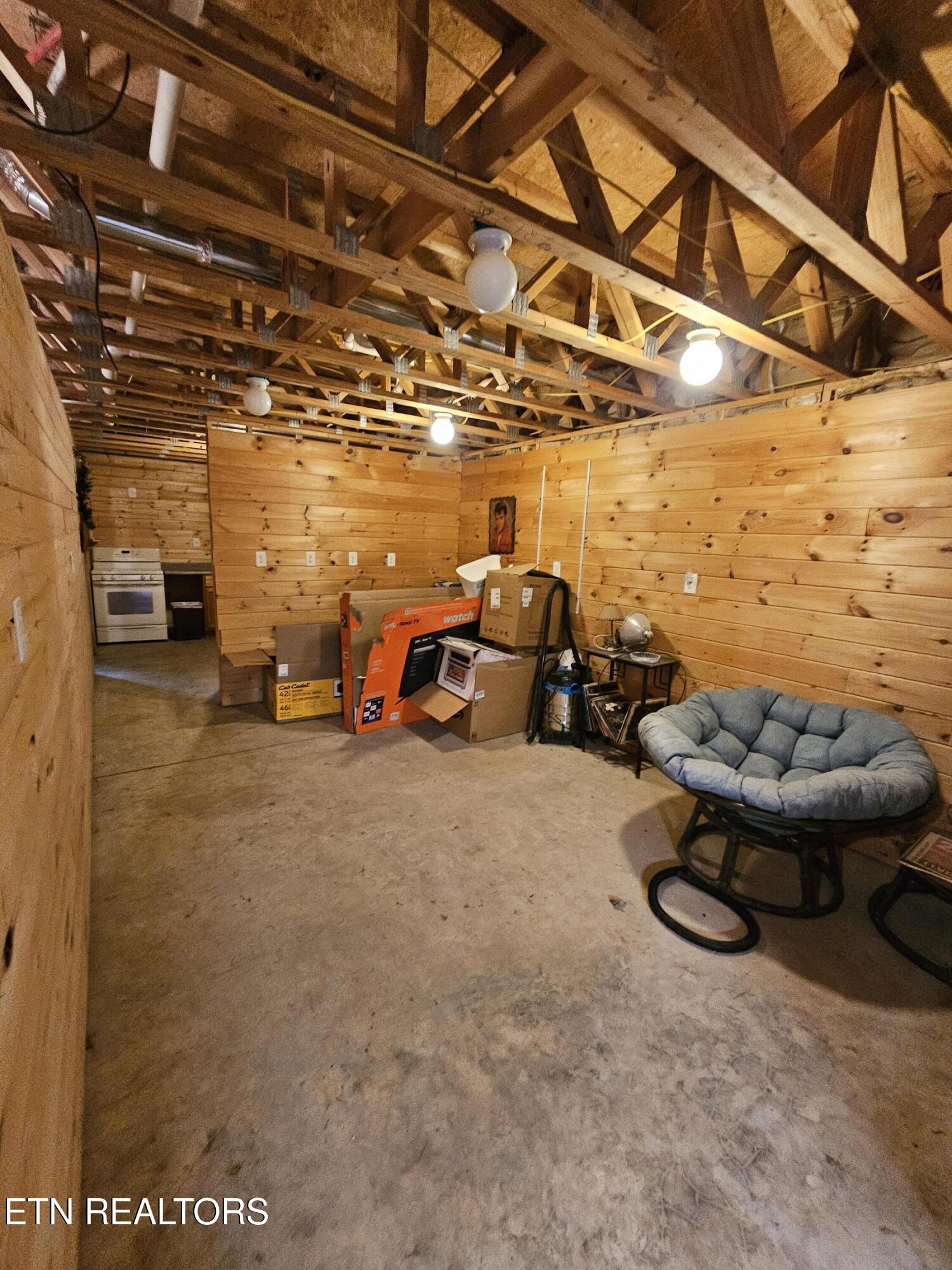 117 Coyote Lane Oneida, TN 37841 - Photo 37 of 60 Downstairs Room