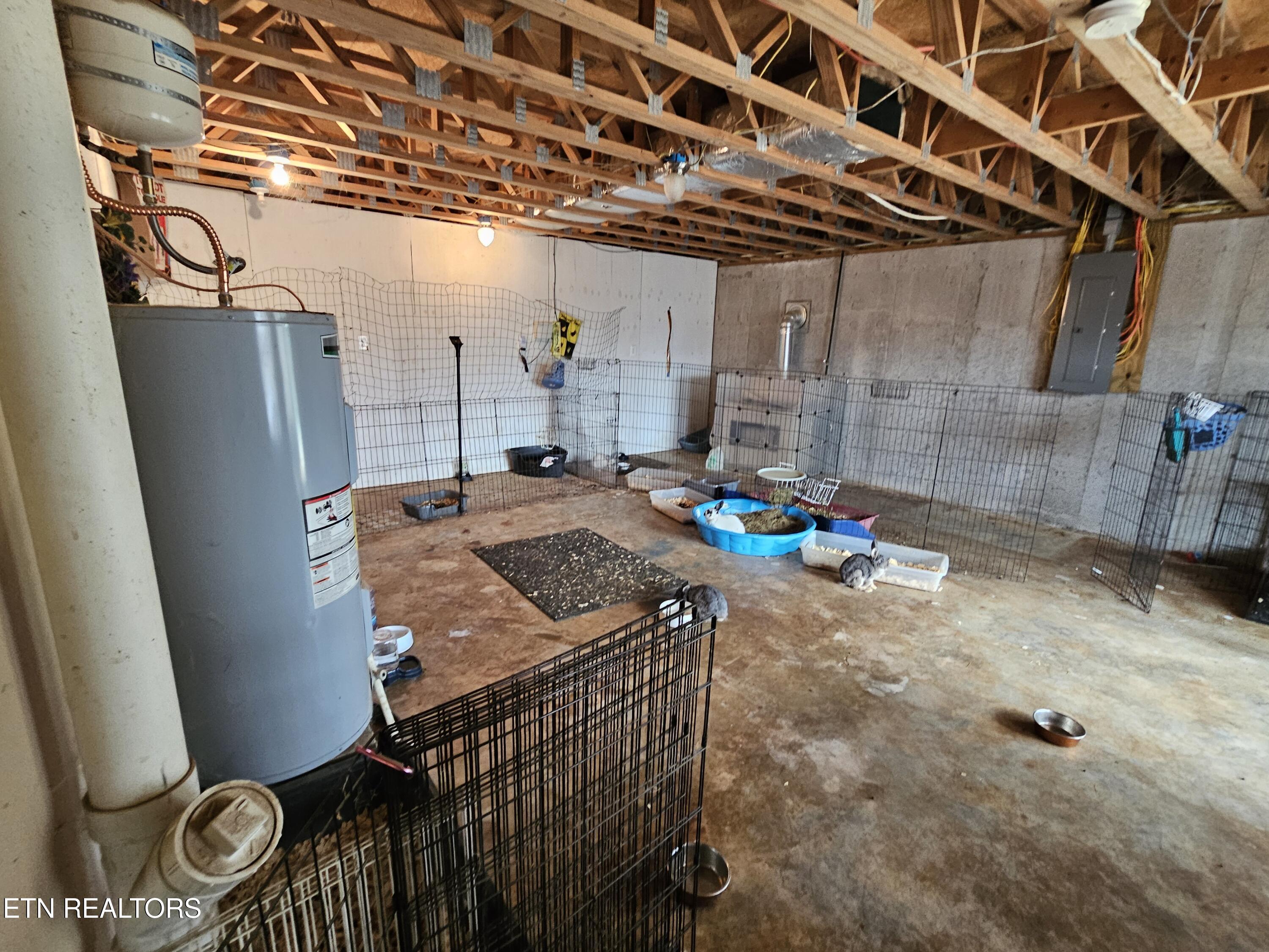 117 Coyote Lane Oneida, TN 37841 - Photo 40 of 60 Downstairs