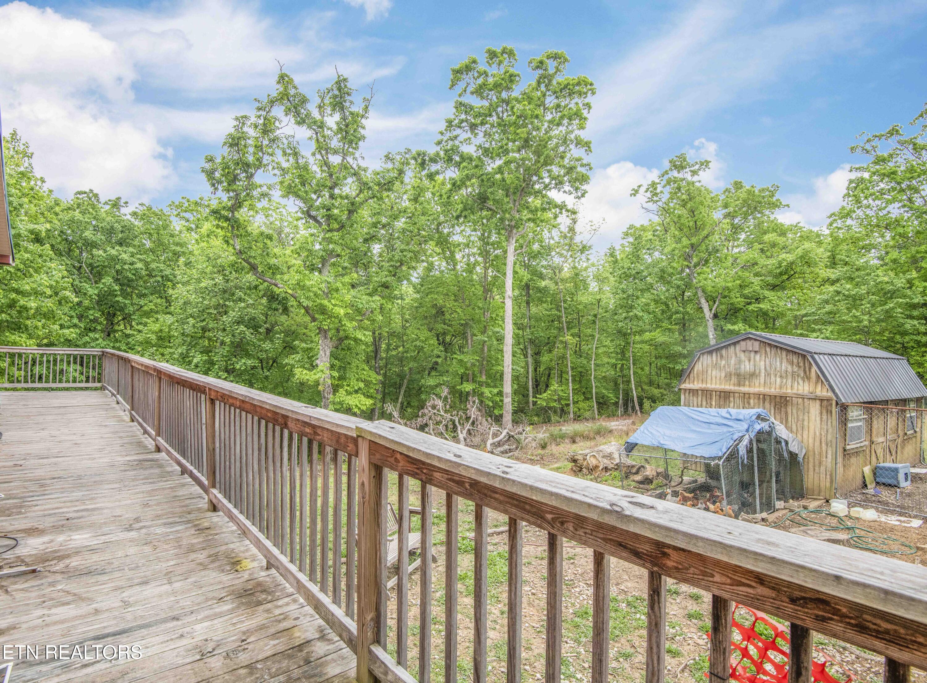 117 Coyote Lane Oneida, TN 37841 - Photo 41 of 60 yard 1_1