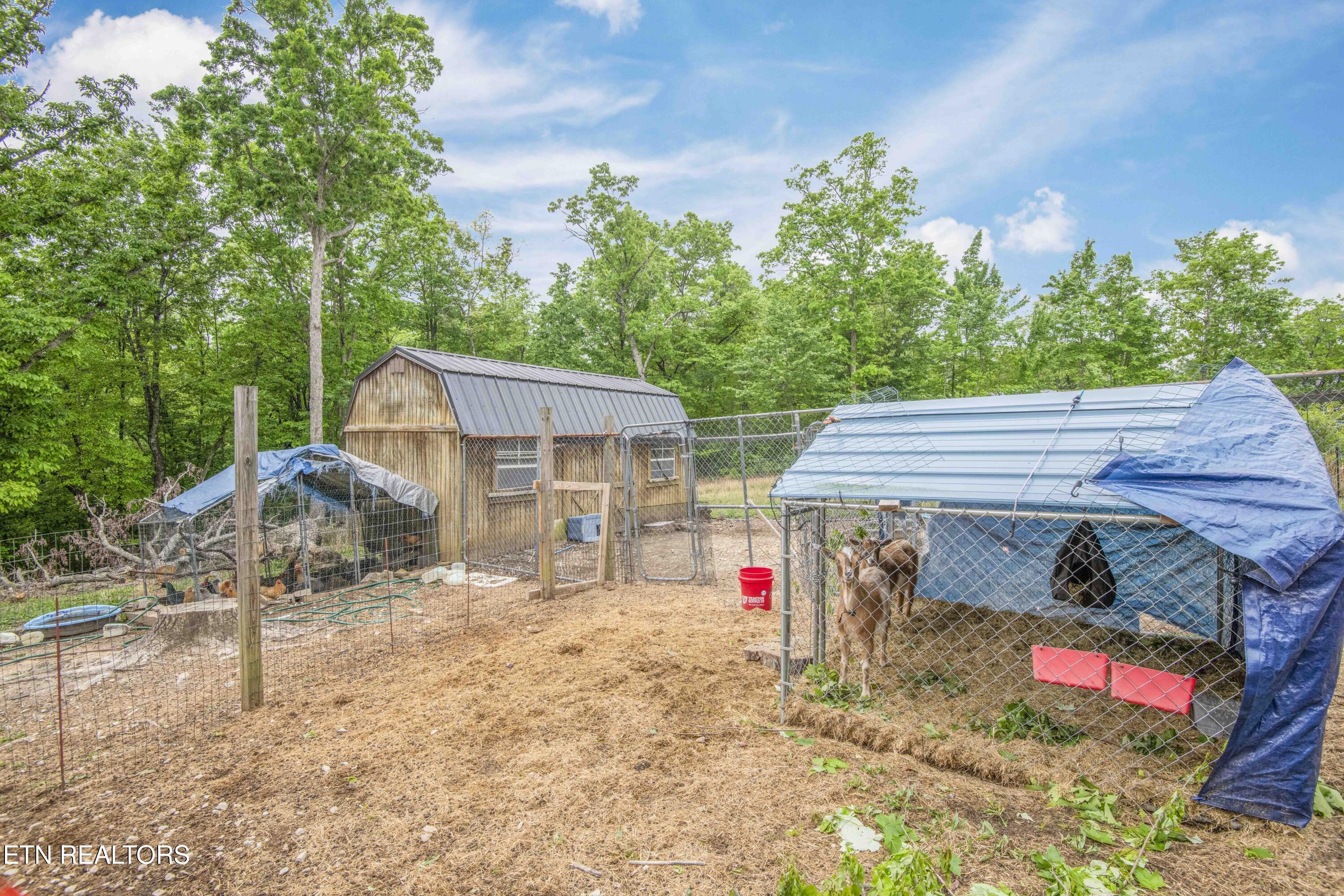 117 Coyote Lane Oneida, TN 37841 - Photo 42 of 60 yard 2_1