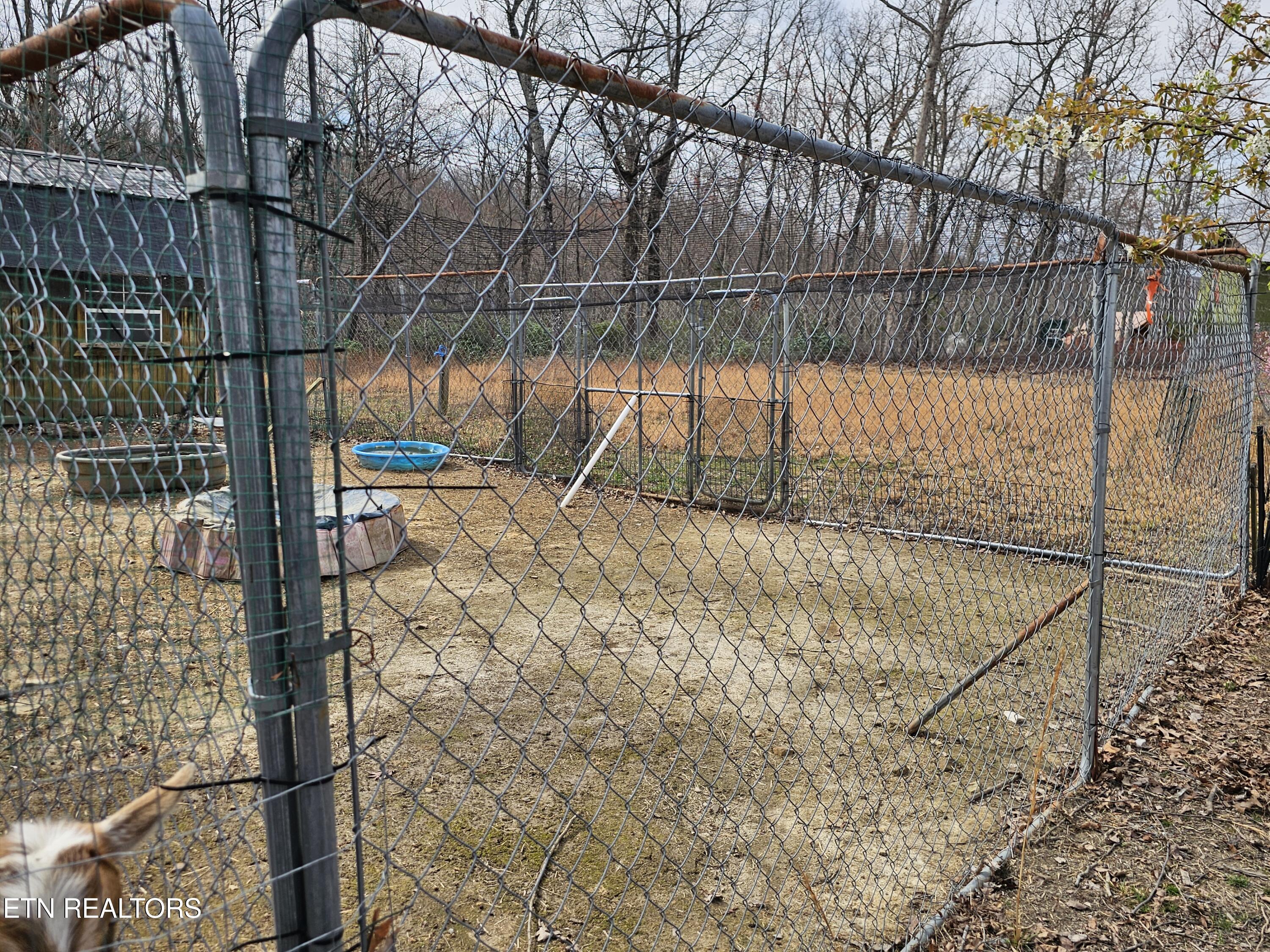 117 Coyote Lane Oneida, TN 37841 - Photo 45 of 60 Outside