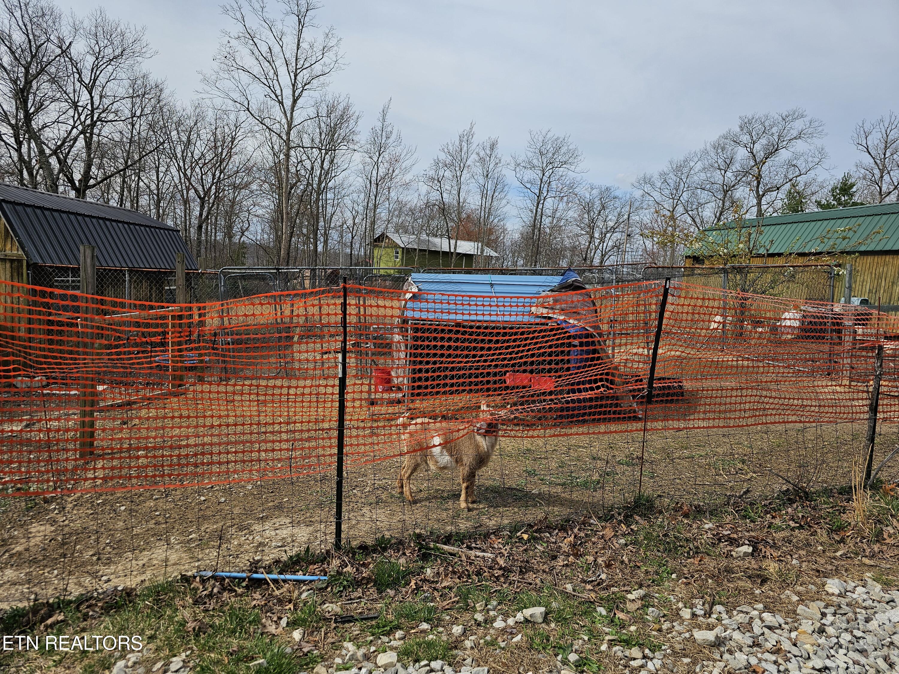 117 Coyote Lane Oneida, TN 37841 - Photo 49 of 60 Fenced Area
