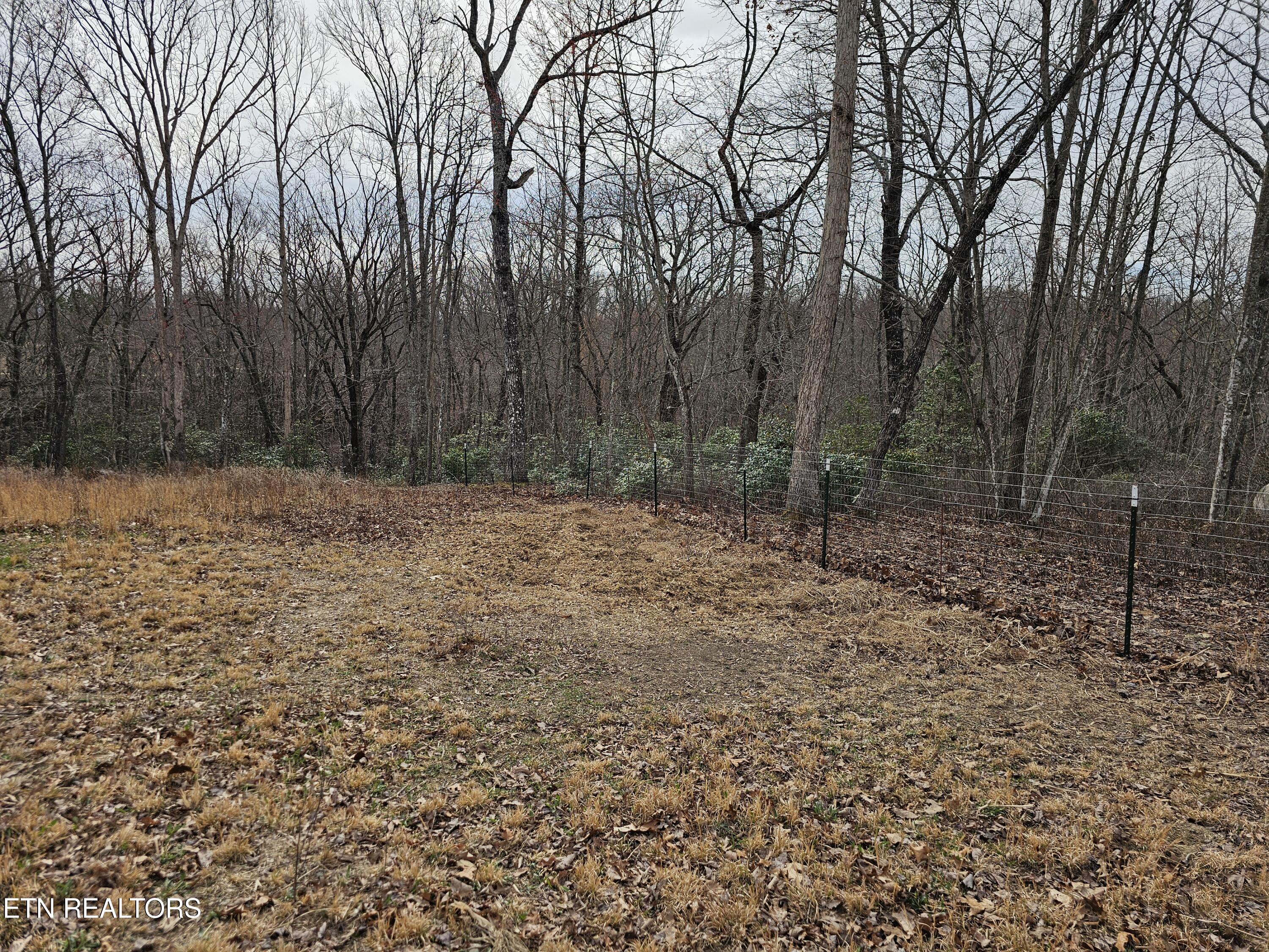 117 Coyote Lane Oneida, TN 37841 - Photo 55 of 60 Outside