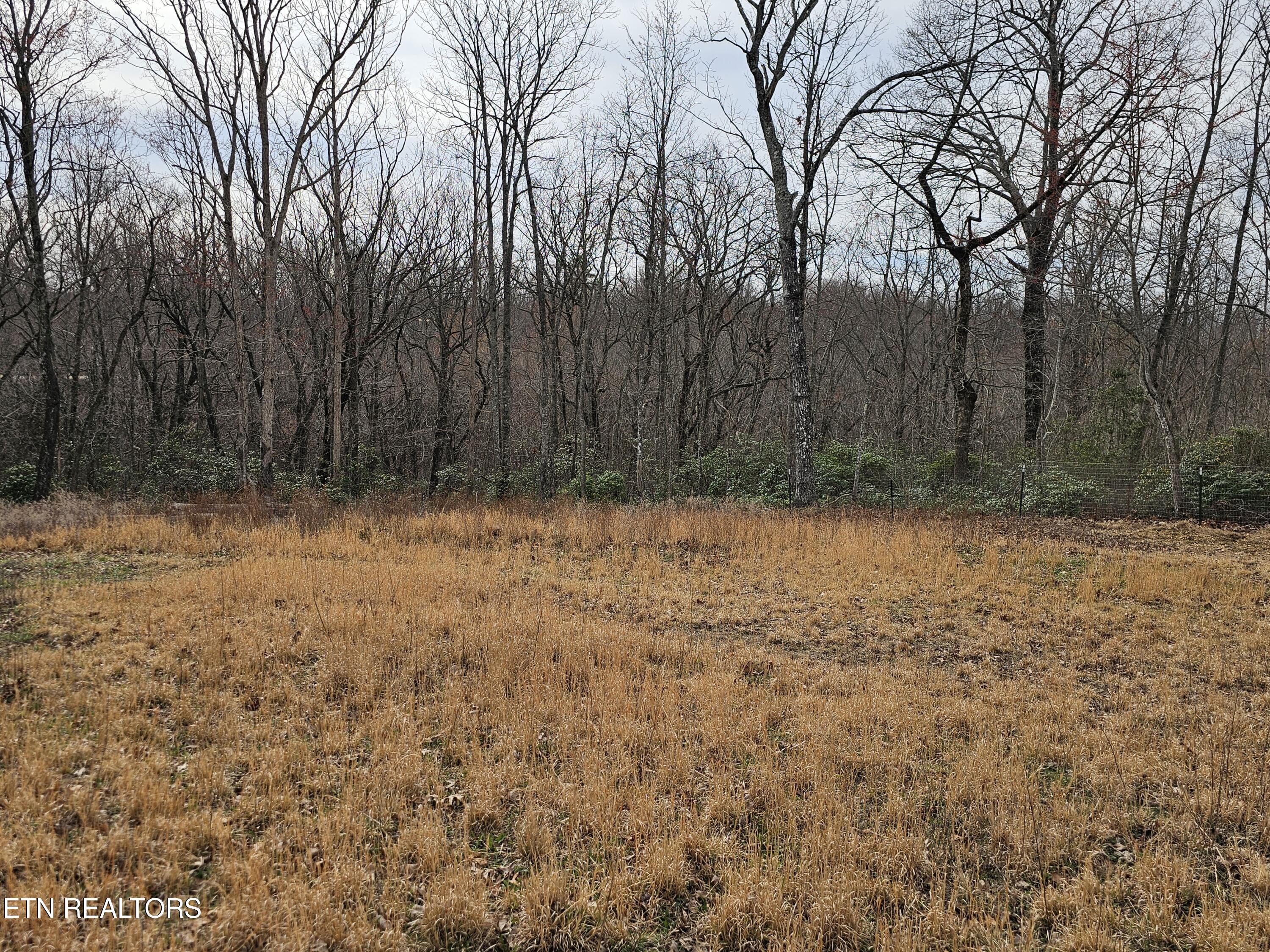 117 Coyote Lane Oneida, TN 37841 - Photo 56 of 60 Outside