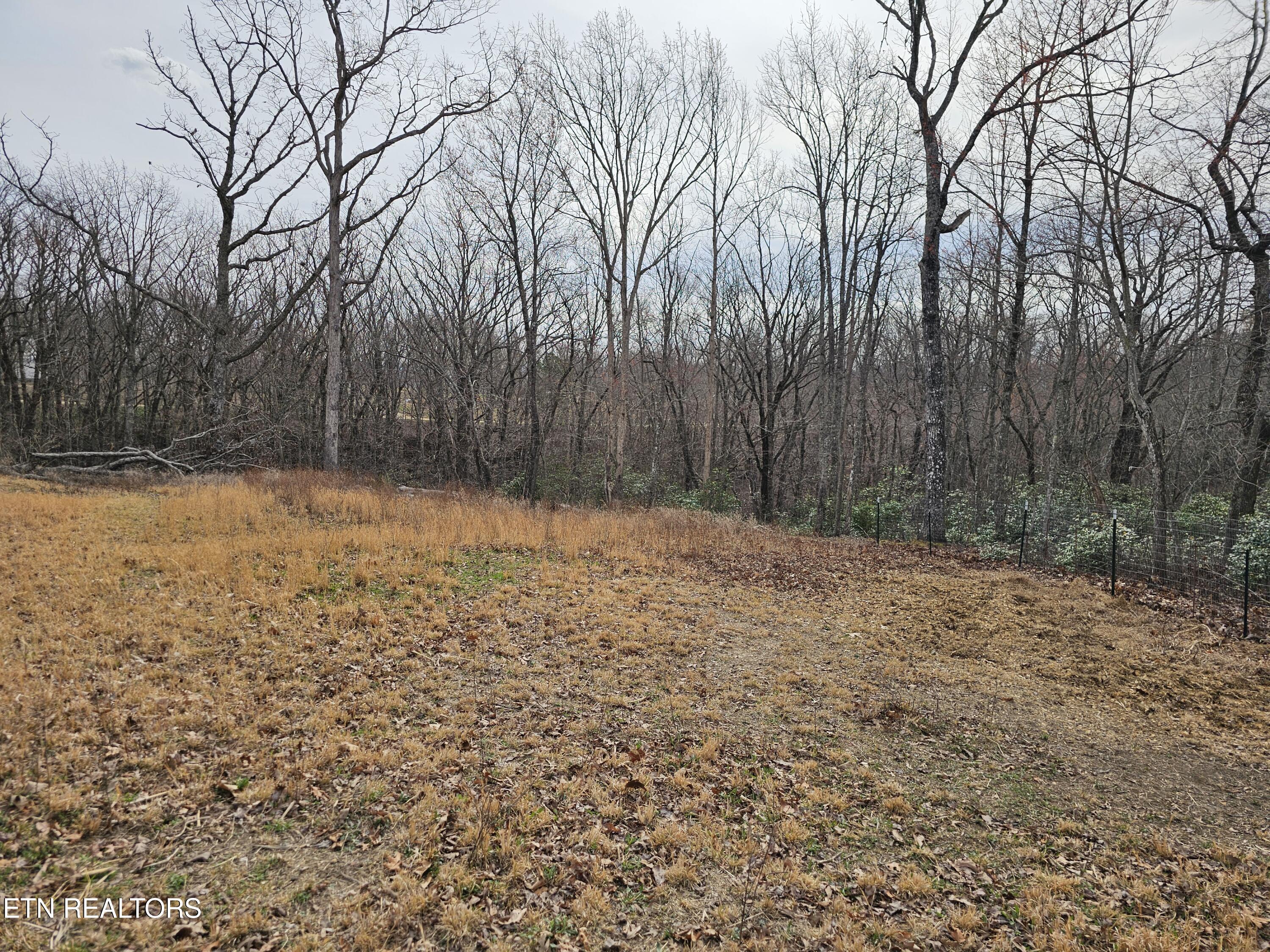 117 Coyote Lane Oneida, TN 37841 - Photo 57 of 60 Outside