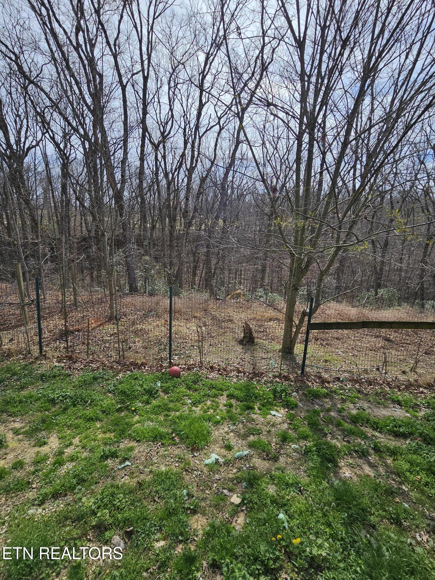 117 Coyote Lane Oneida, TN 37841 - Photo 59 of 60 Back View