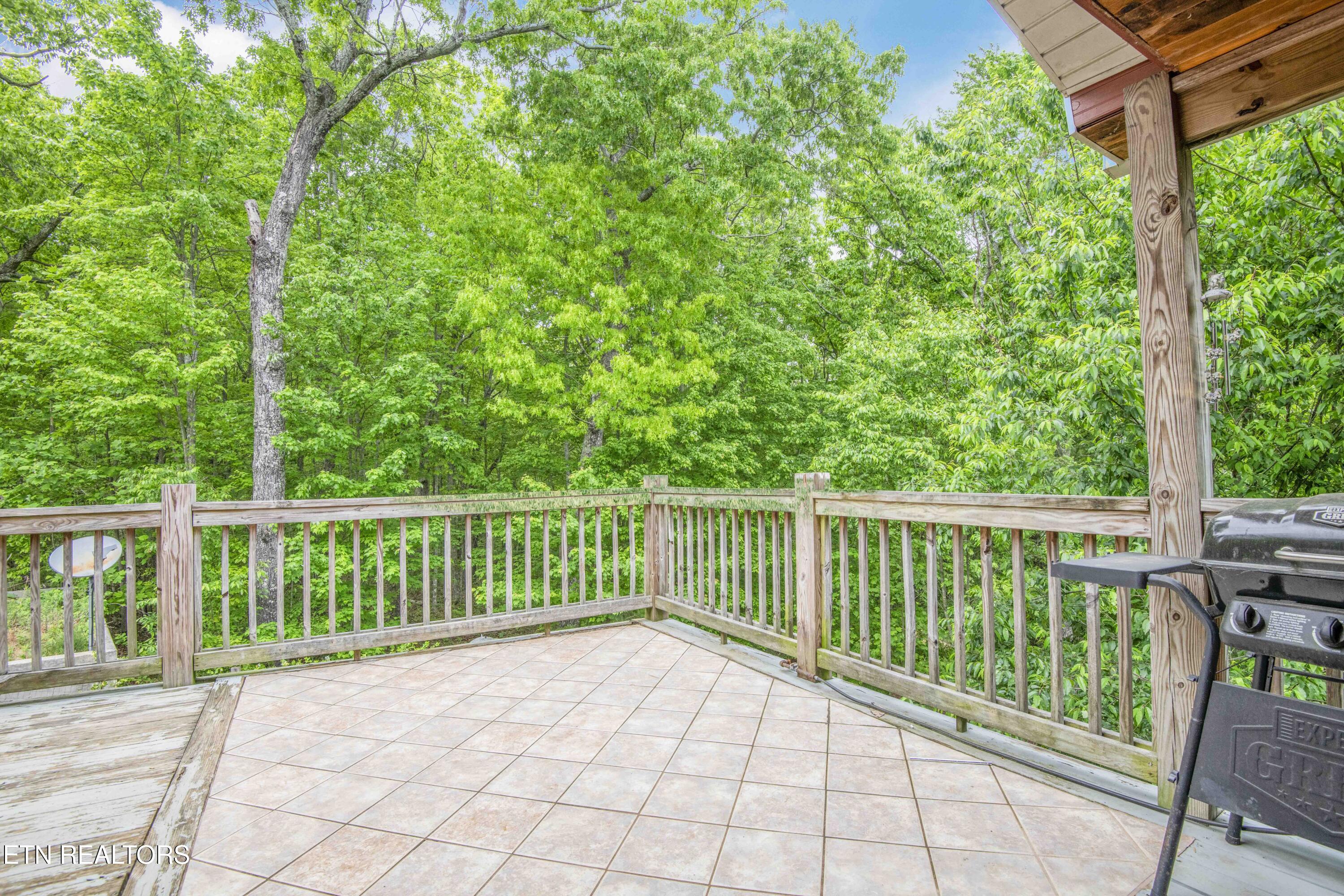 117 Coyote Lane Oneida, TN 37841 - Photo 6 of 60 deck 2_1