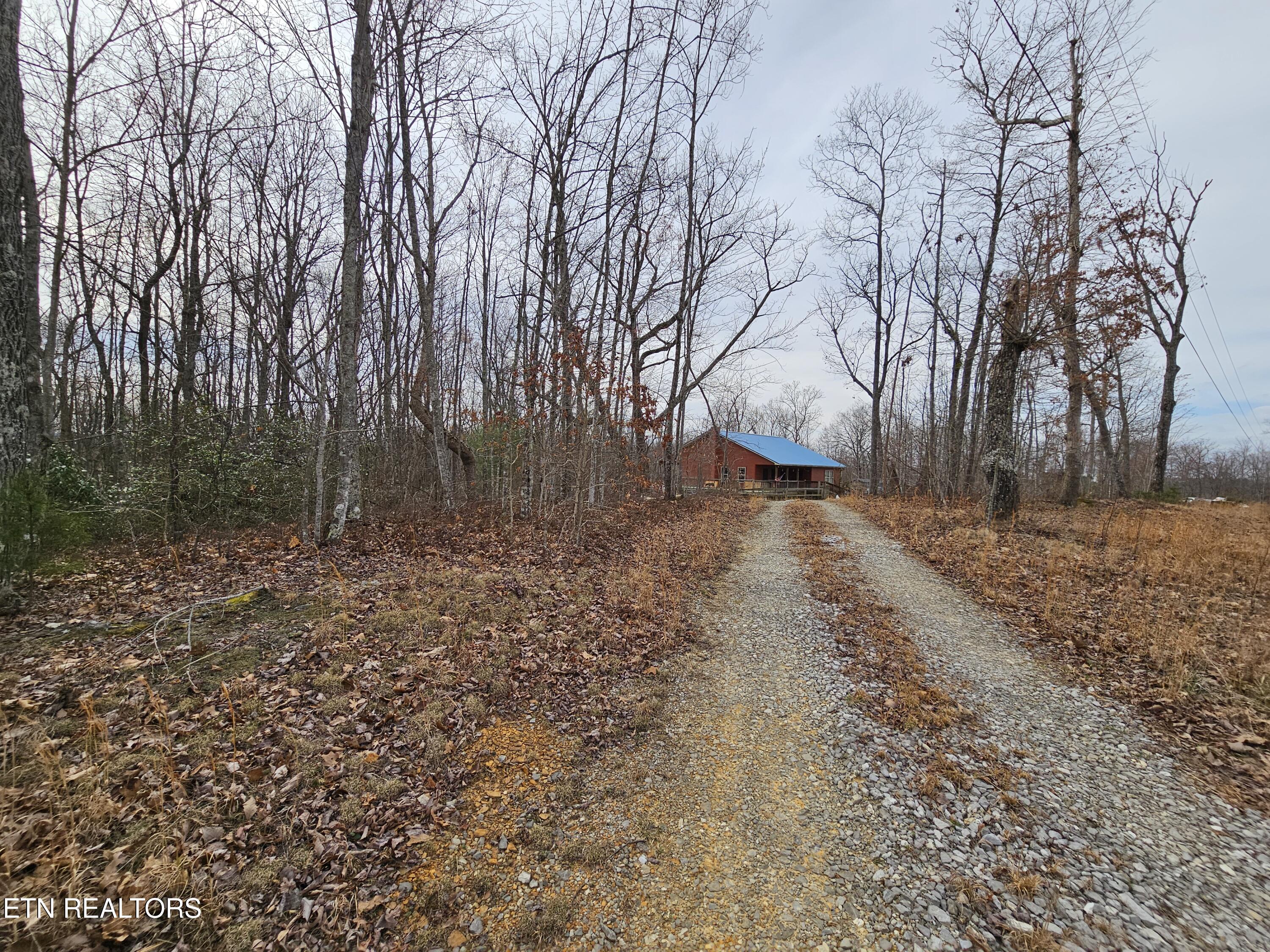 117 Coyote Lane Oneida, TN 37841 - Photo 8 of 60 Driveway