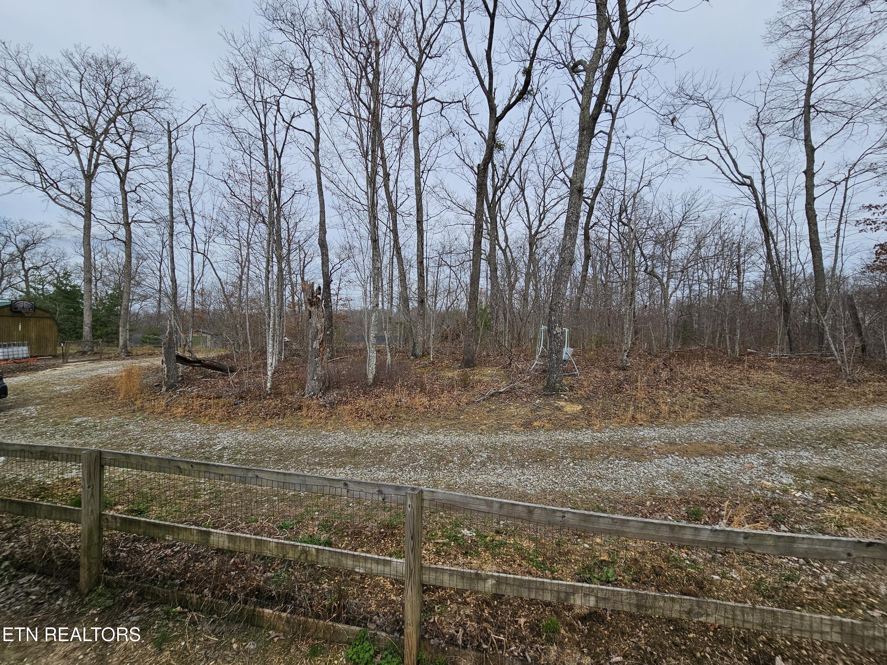 117 Coyote Lane Oneida, TN 37841 - Photo 9 of 60 Circle Drive