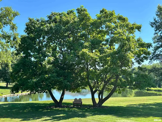 $356,000 | 5145 West Divernon Road, Auburn, IL 62615