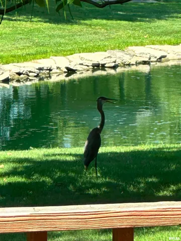 $356,000 | 5145 West Divernon Road, Auburn, IL 62615