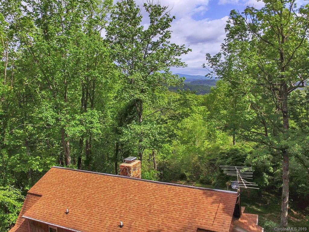 366 Henry Mountain Road Brevard, NC 28712 - Photo 26 of 31 Gallery Image 26