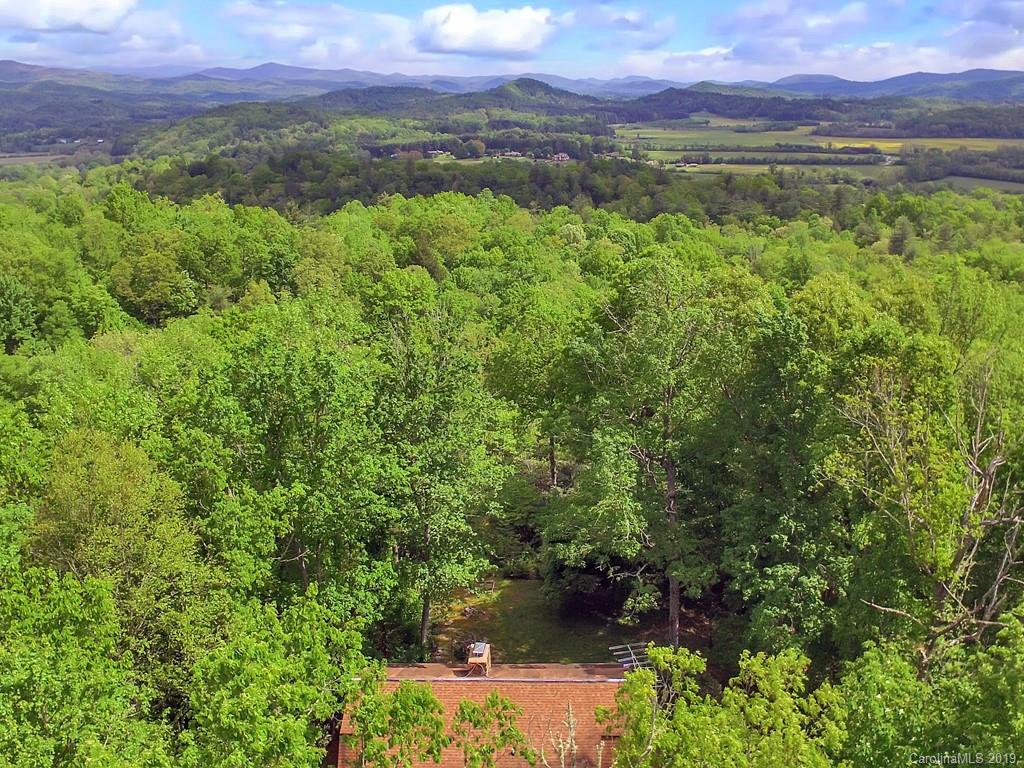366 Henry Mountain Road Brevard, NC 28712 - Photo 29 of 31 Gallery Image 29