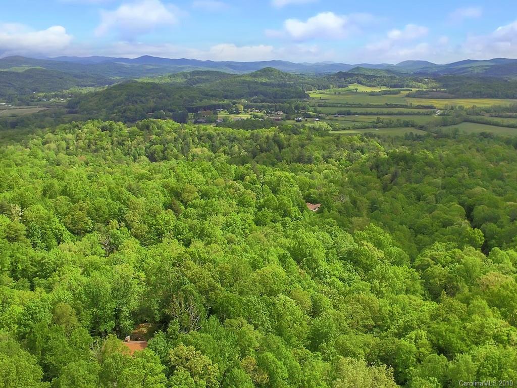 366 Henry Mountain Road Brevard, NC 28712 - Photo 30 of 31 Gallery Image 30