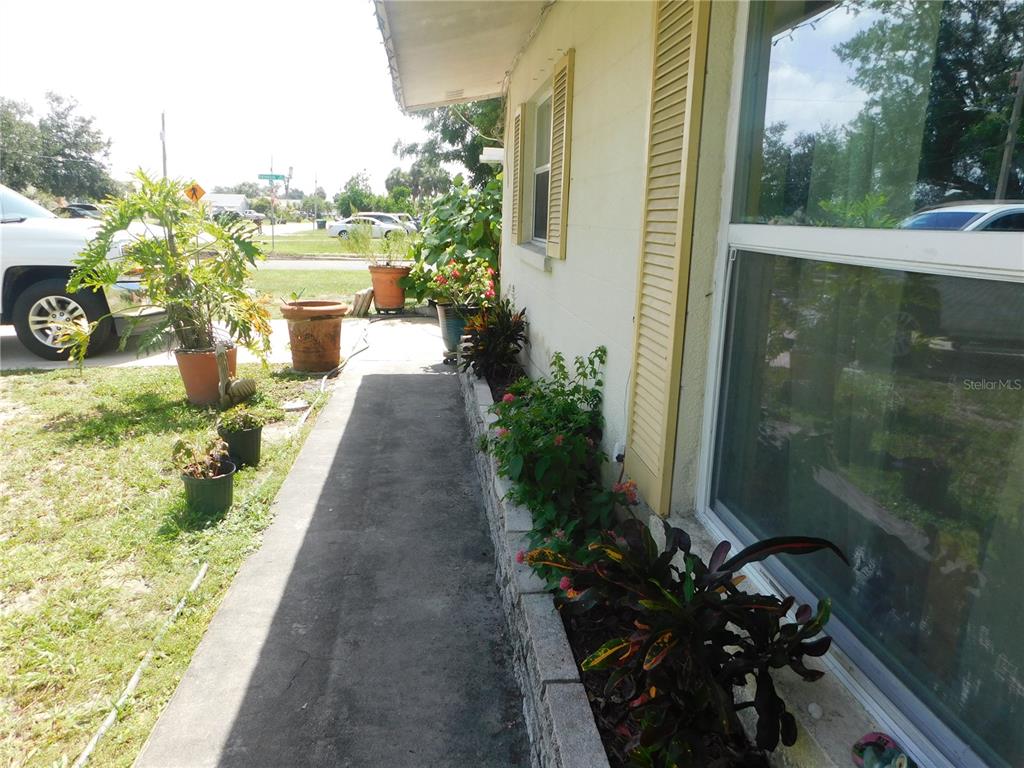 528 Briarwood Road Venice, FL 34293 - Photo 17 of 44 a view of a potted flower in a yard next to a fountain
