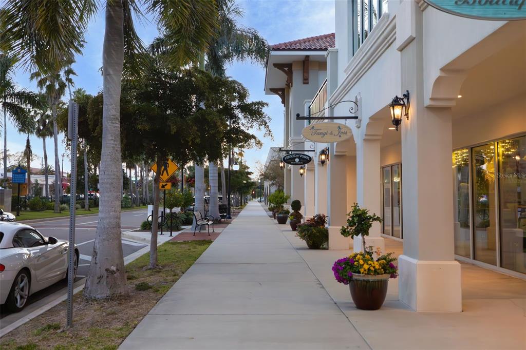 528 Briarwood Road Venice, FL 34293 - Photo 43 of 44 a view of a potted plants on the sidewalk
