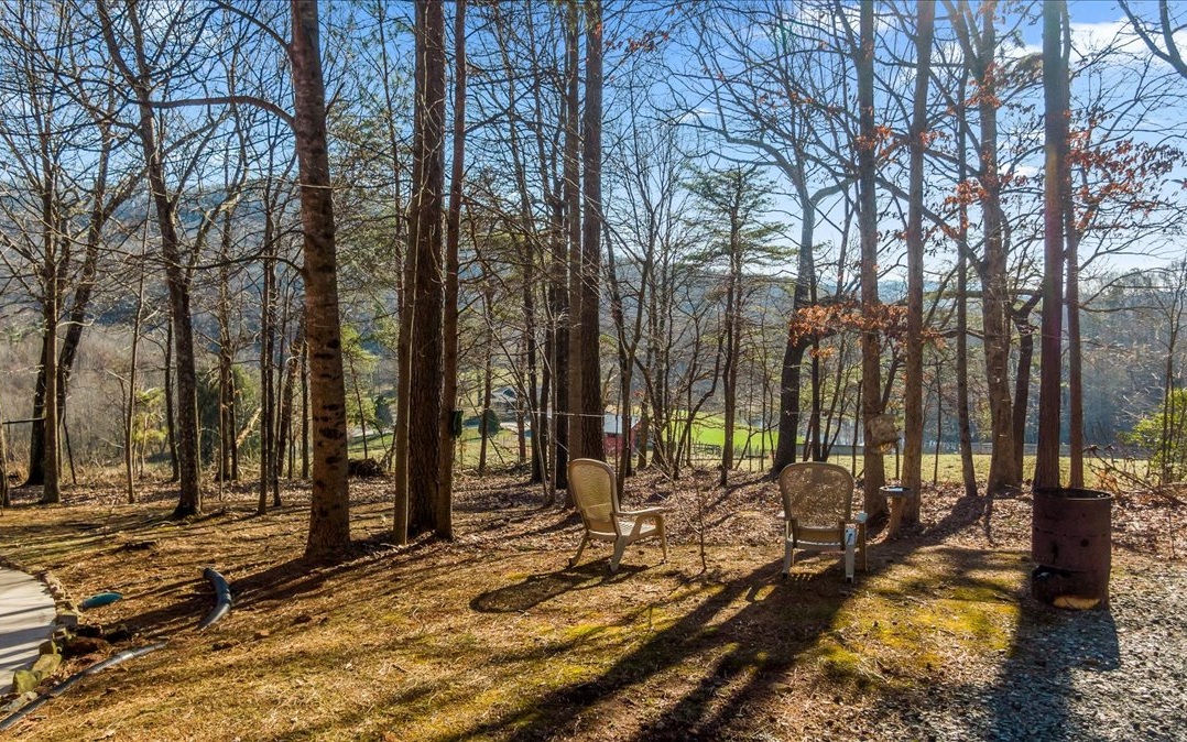 492 Black Bear Ridge Road Ellijay, GA 30536 - Photo 5 of 67 Additional View