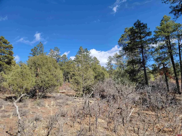 $30,000 | 145 Rock Point Place, Pagosa Springs, CO 81147