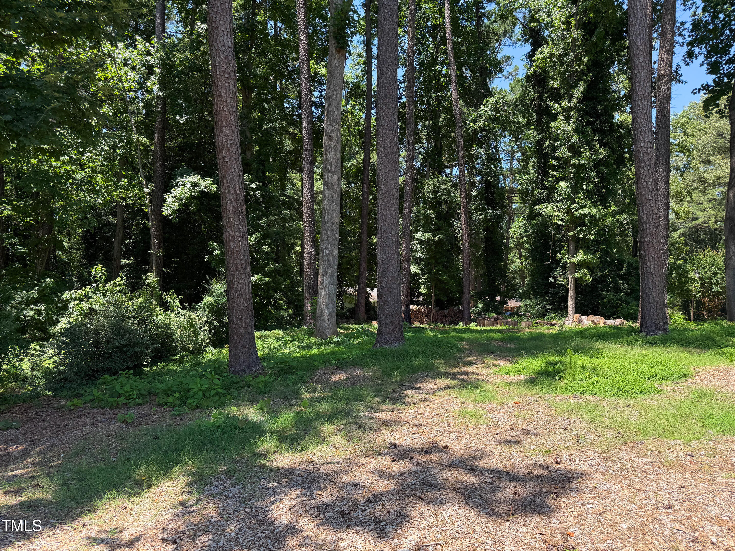3323 Baugh Street Raleigh, NC 27604 - Photo 50 of 52 a view of a yard with a tree