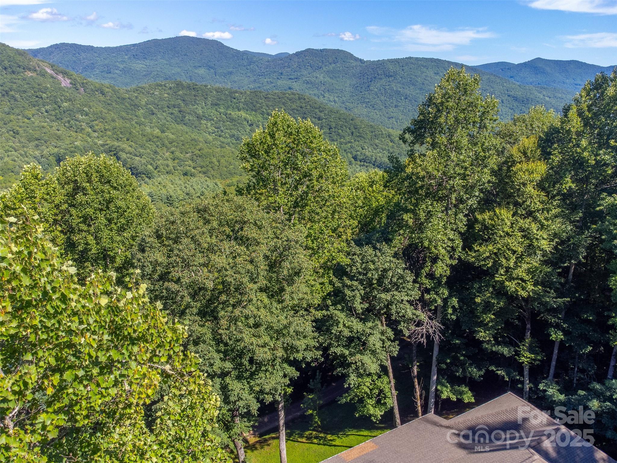 1838 Coman Road Franklin, NC 28734 - Photo 3 of 48 a view of a forest with a mountain