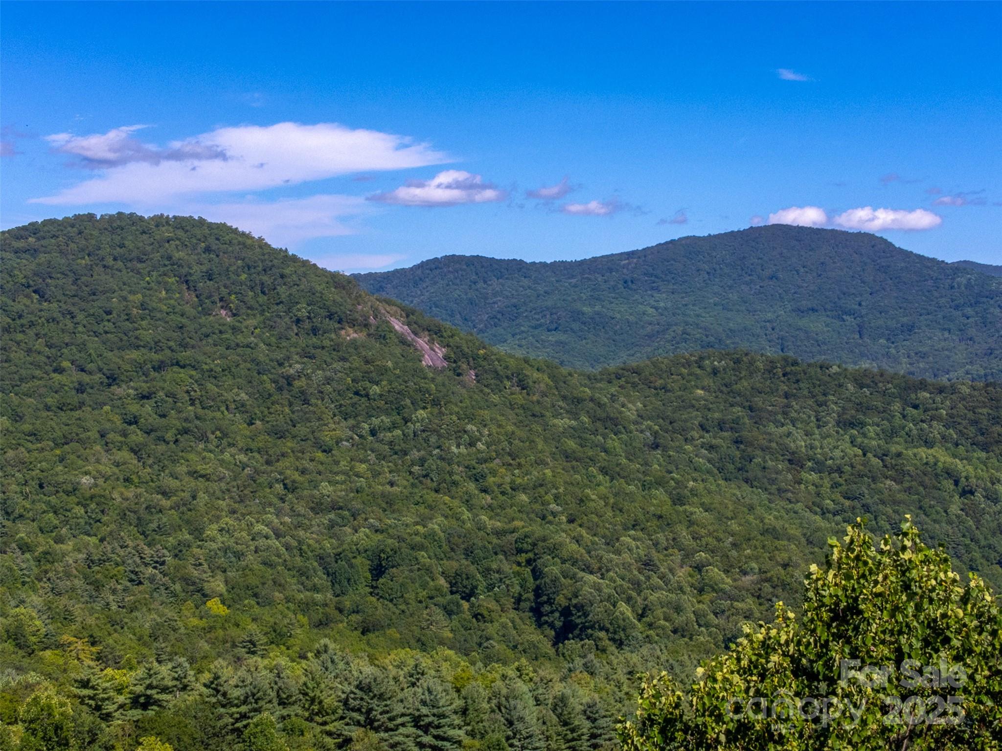 1838 Coman Road Franklin, NC 28734 - Photo 8 of 48 a view of a mountain